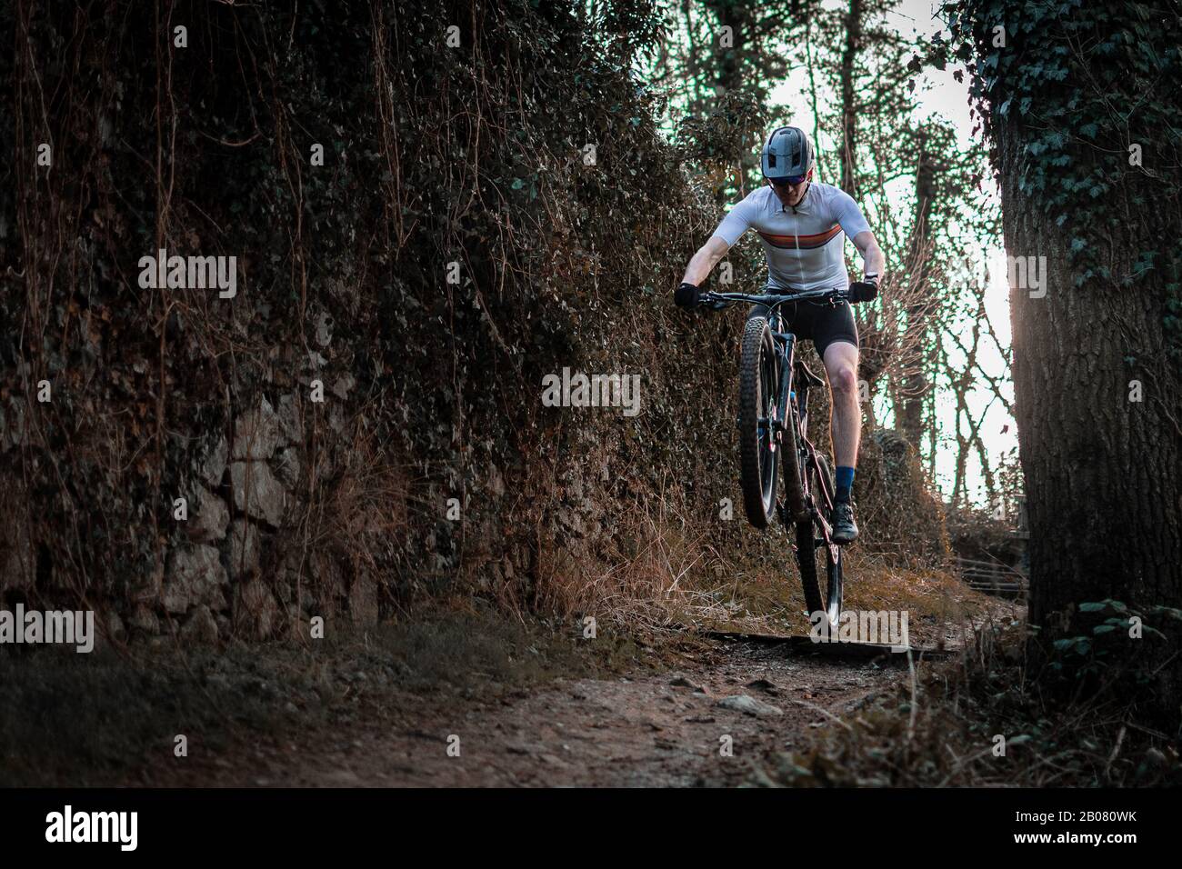 Junge Athletin macht Rollie auf dem Hinterradbergrad Stockfoto