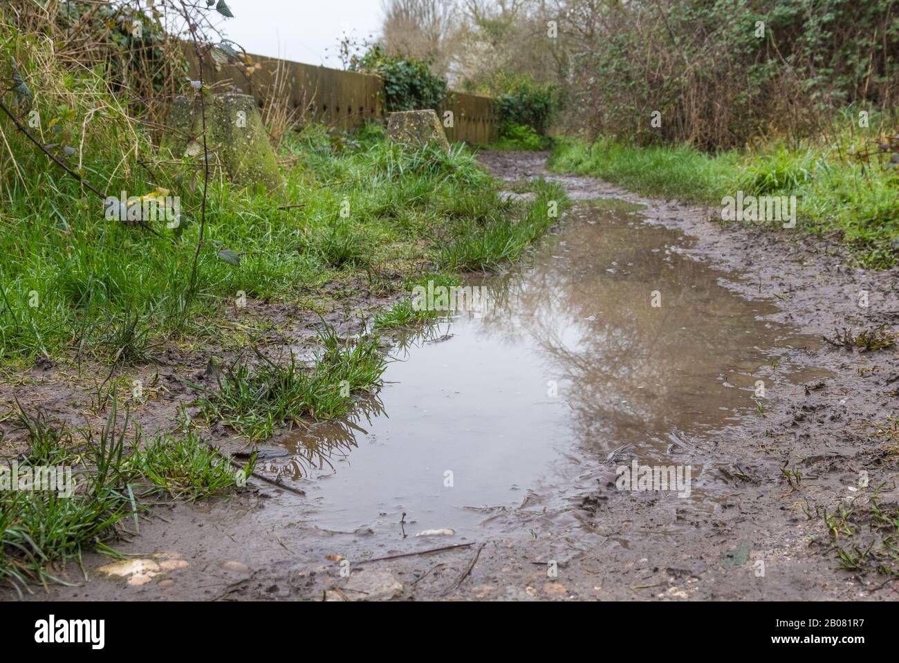 Große Pfütze nach starkem Regen auf einem schlammigen Fußweg in England, Großbritannien. Schlamm auf dem Weg. Stockfoto