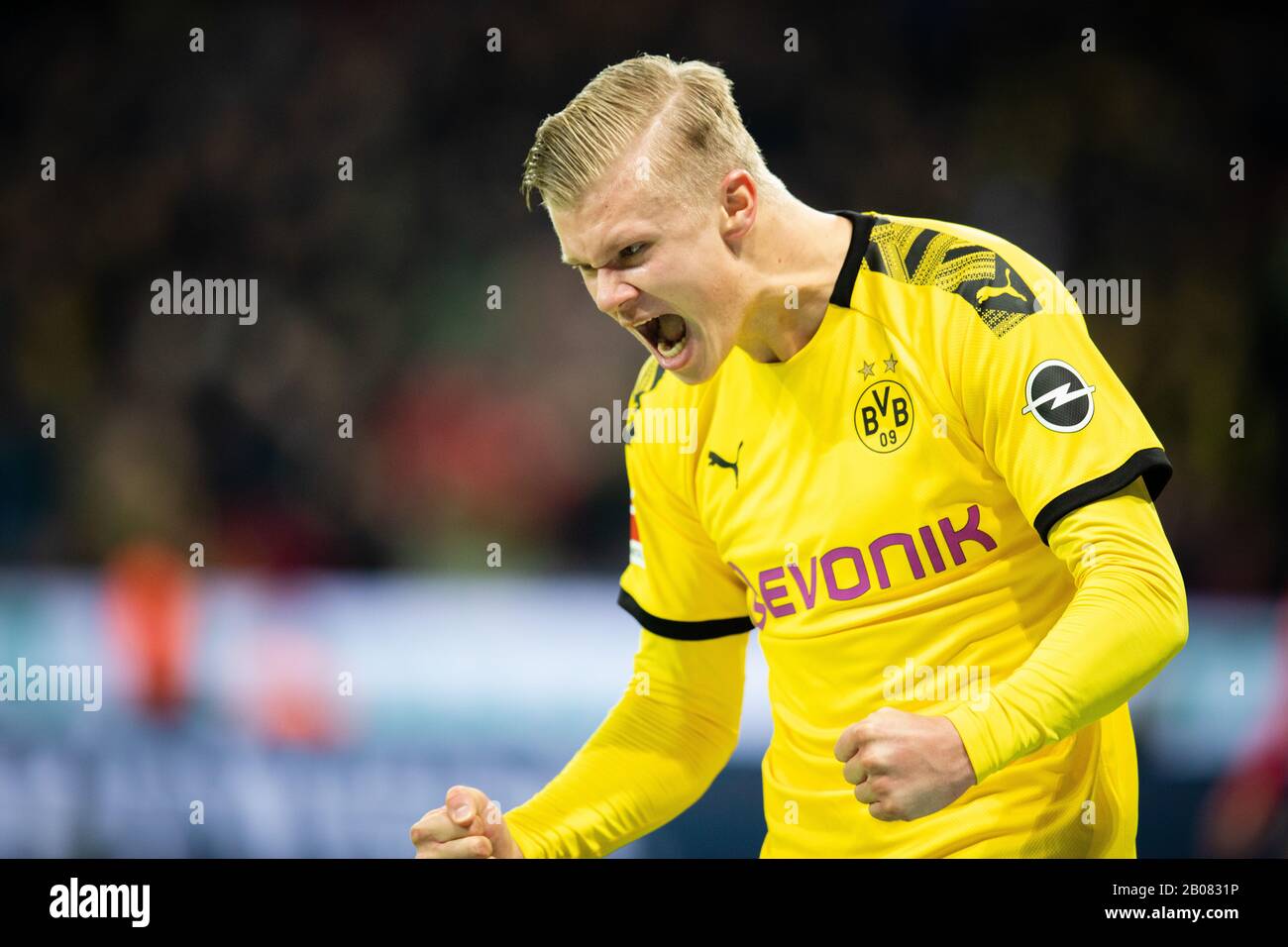 Leverkusen, 08.02.2020 Torfeier: Erling Haaland (BVB) Bayer Leverkusen - Borussia Dortmund Stockfoto