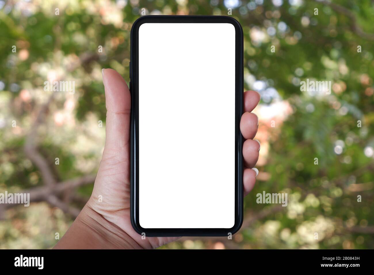 Nahaufnahme des Telefons vertikal, Mit Smartphone mit verschwommenem Hintergrund von Bäumen, Heim- und Gartenkopien. Stockfoto