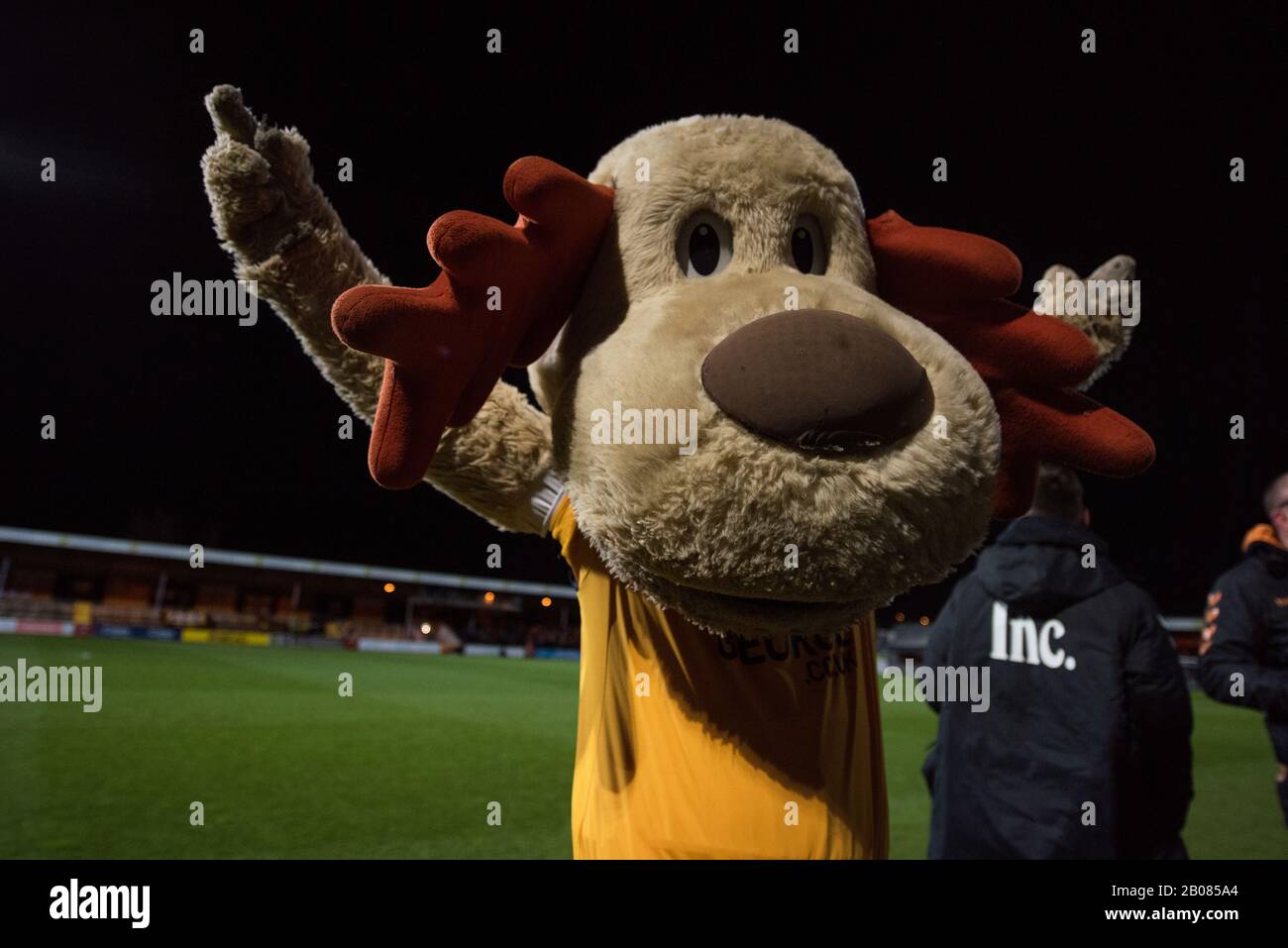 Marvin the Moose. Cambridge United Mascot. Abbey Stadium. Cambdrige Stockfoto