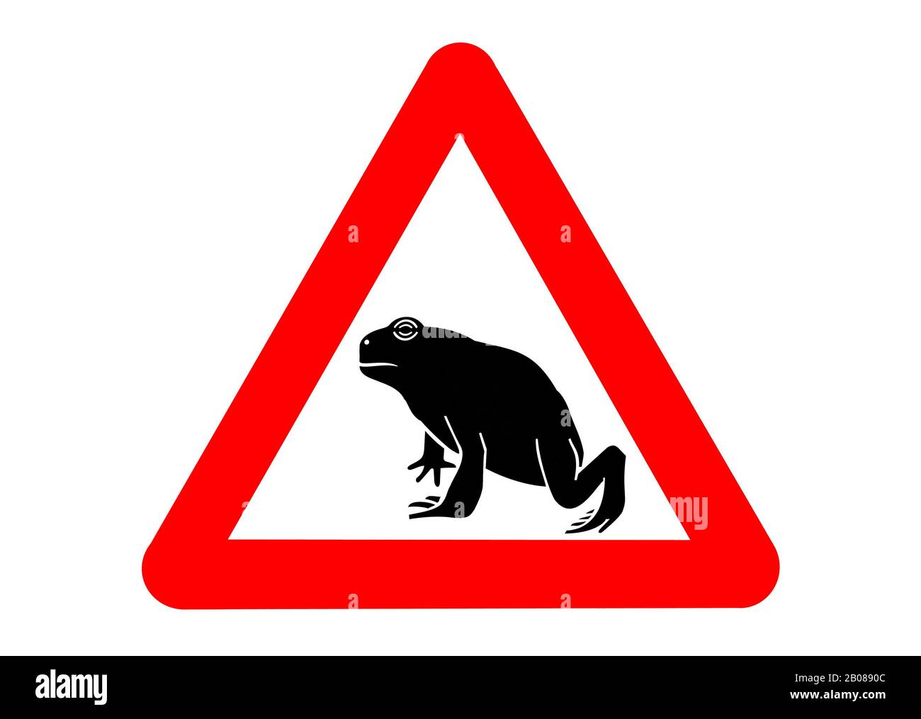 Warnschild für wandernde Amphibien/Kröten, die während der jährlichen Wanderung im Frühjahr die Straße überqueren, vor weißem Hintergrund Stockfoto