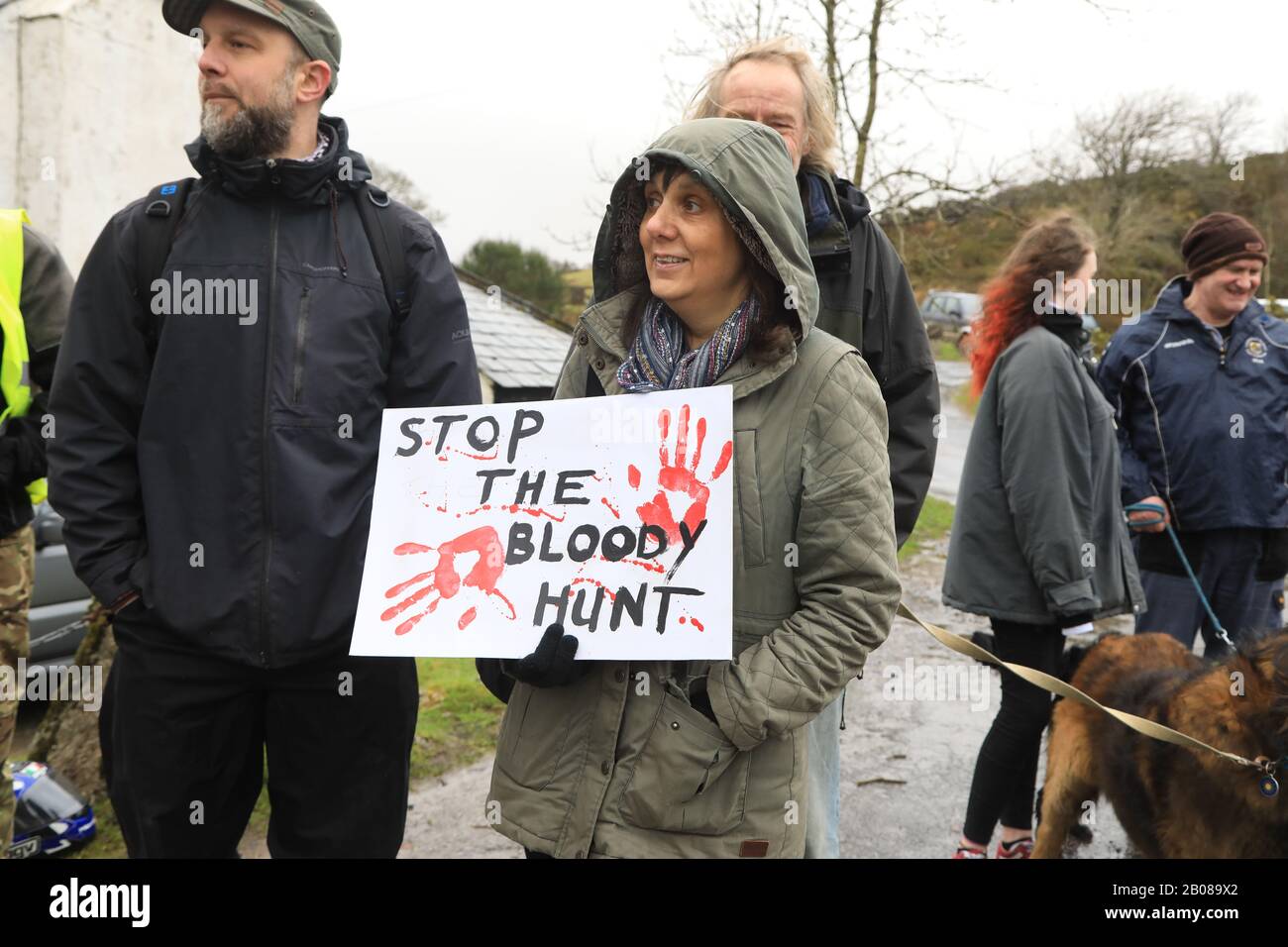 Two Bridges, Yelverton, Dartmoor, South Devon, Großbritannien. Feb. 2020. Aktion Gegen Foxhunting und Devon Gegen Die Jagd, besuchte das jährliche Massentreffen von vier Dartmoor-Jagden, Mid-Devon, South Devon, Dartmoor und Spooners und West. Die vier Jagden treffen sich jedes Jahr zum Jahrestag der Sperre, die nun im 15. Jahr begangen wird. Das Hunting Act war und ist eine wegweisende Gesetzgebung, die weltweit als eines der fortschrittlichsten Tiergesetze anerkannt wurde. Kredit: Natasha Quarmby/Alamy Live News Stockfoto