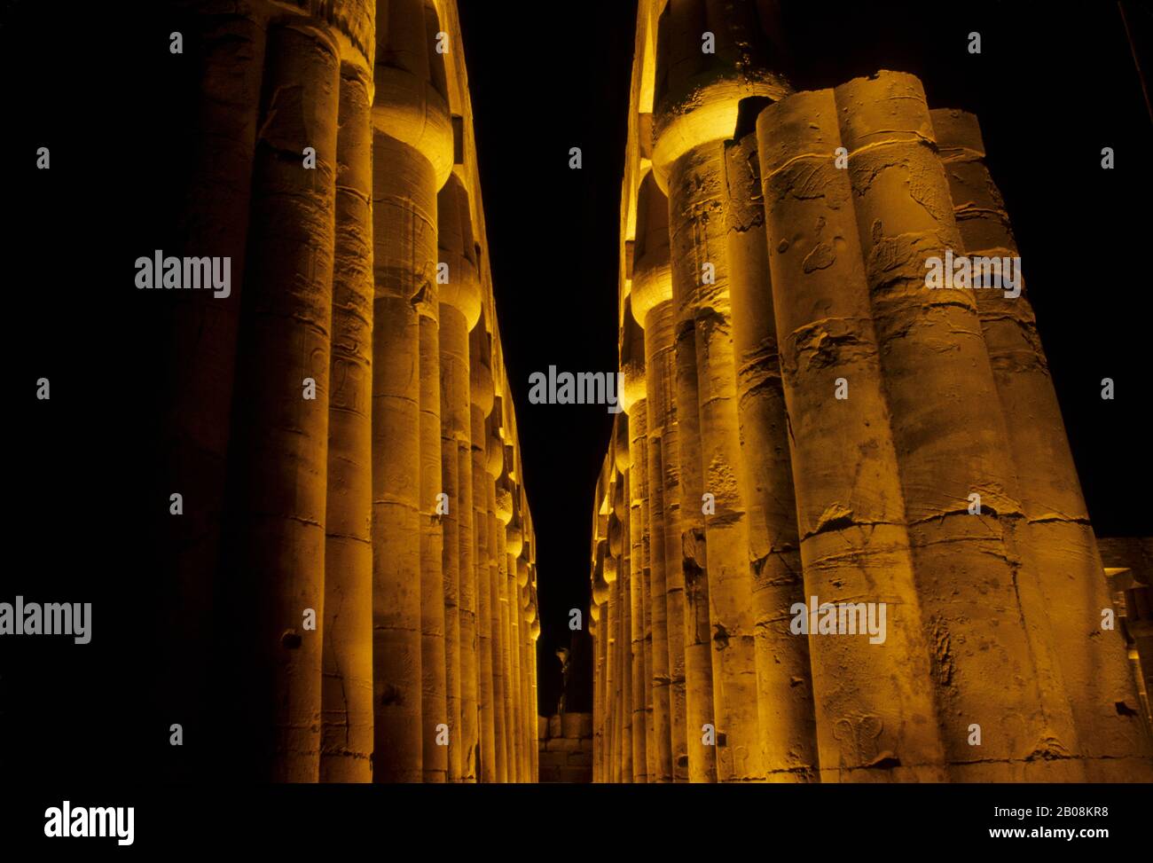 ÄGYPTEN, LUXOR, TEMPEL VON LUXOR NACHTS BELEUCHTET Stockfoto