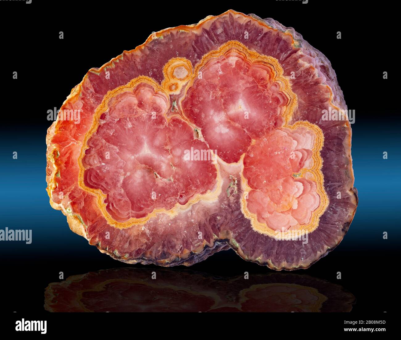 Rhodochrosit, Provinz Catamarca, Argentinien Rhodochrosit ist ein Mangankarbonatmineral, das farblich von hellrosa bis hellrot reicht. Stockfoto