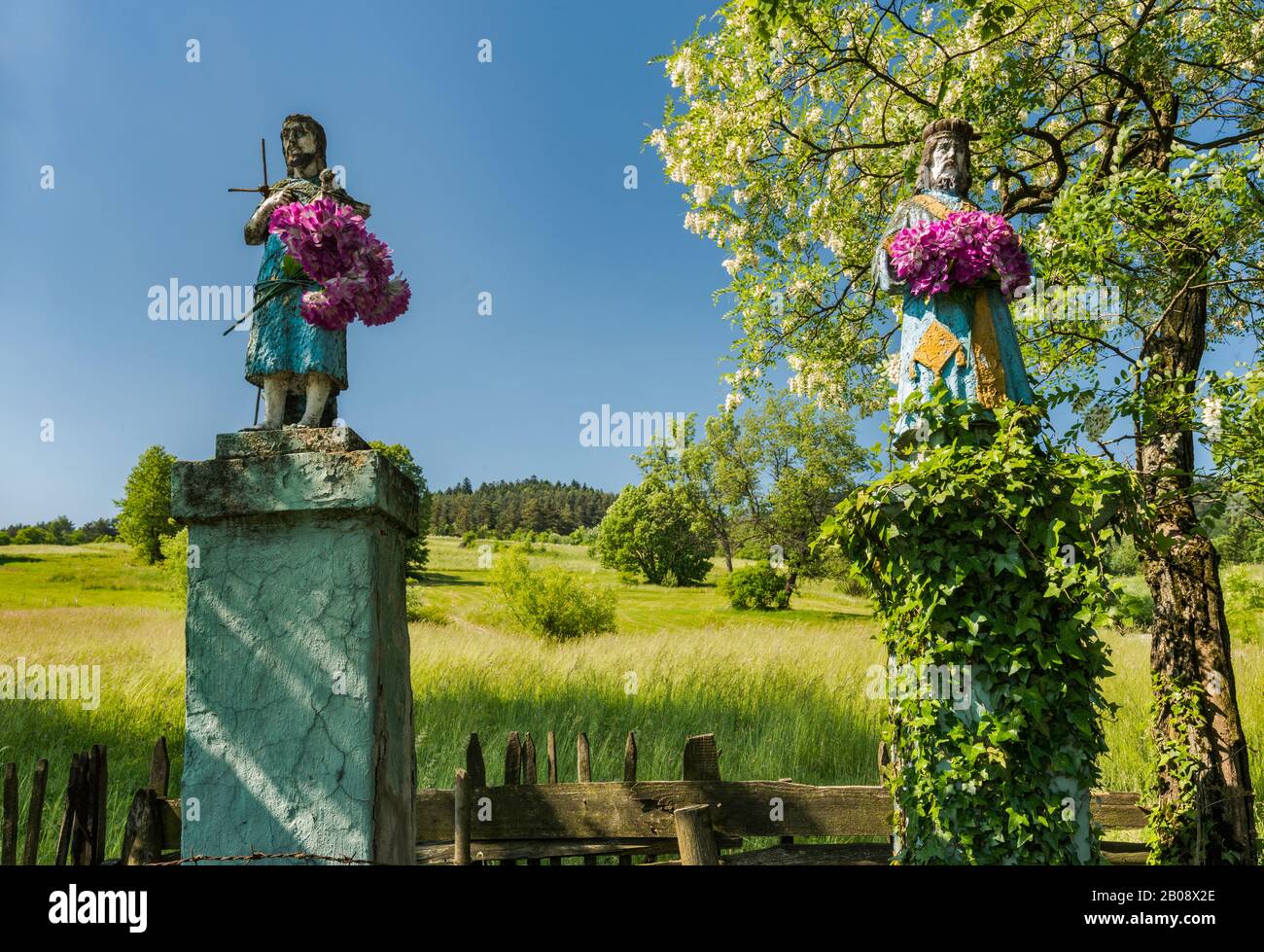Religiöse Statuen, blühender falscher Akazienbaum auf der Straße in der Nähe des Dorfes Berest, der Bergkette der unteren Beskiden, der Westkarpaten, Malopolska, Polen Stockfoto