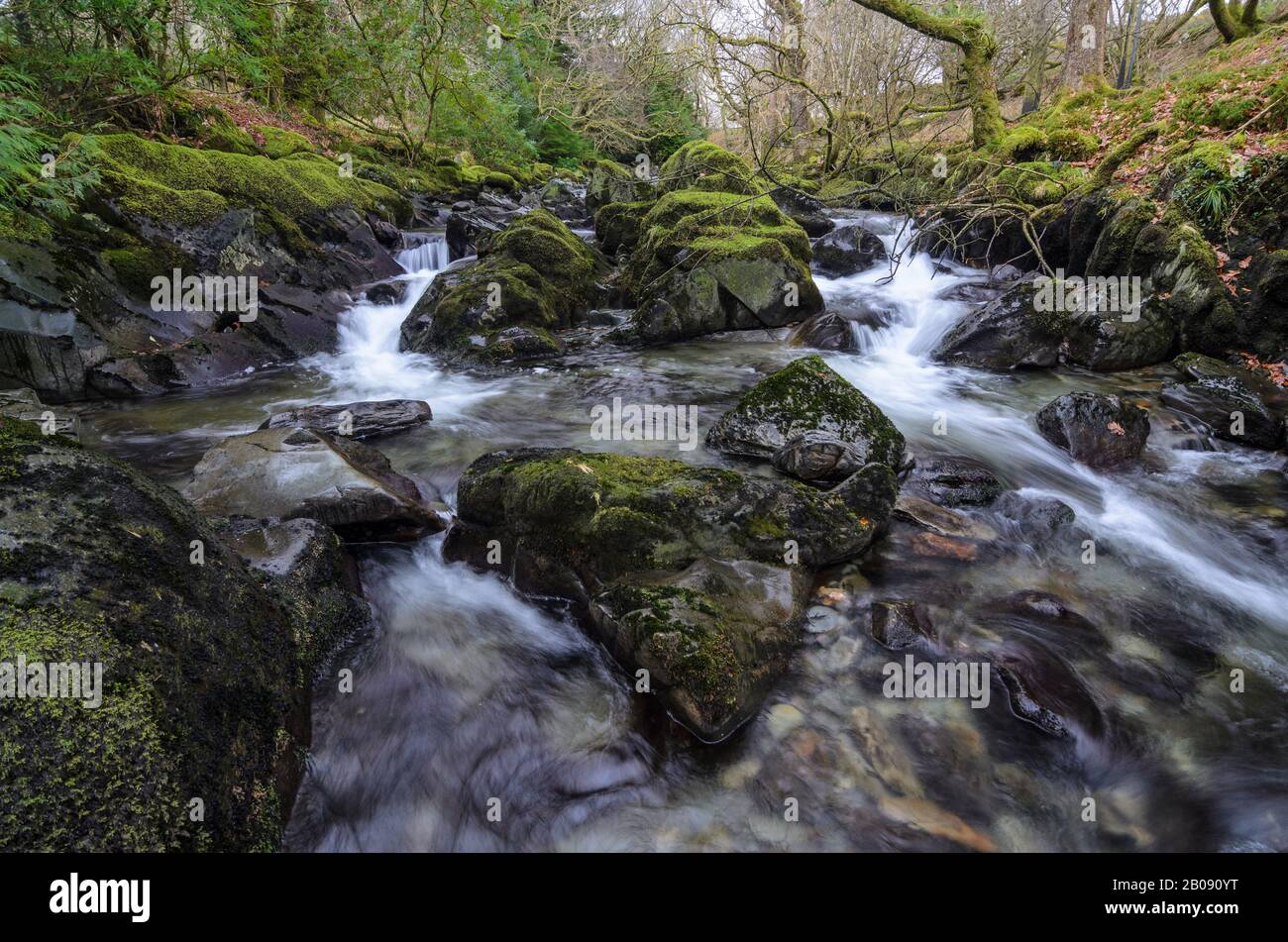 Afon Colwyn in Beddgelert, Wales im Snowdonia National Park im Vereinigten Königreich Stockfoto