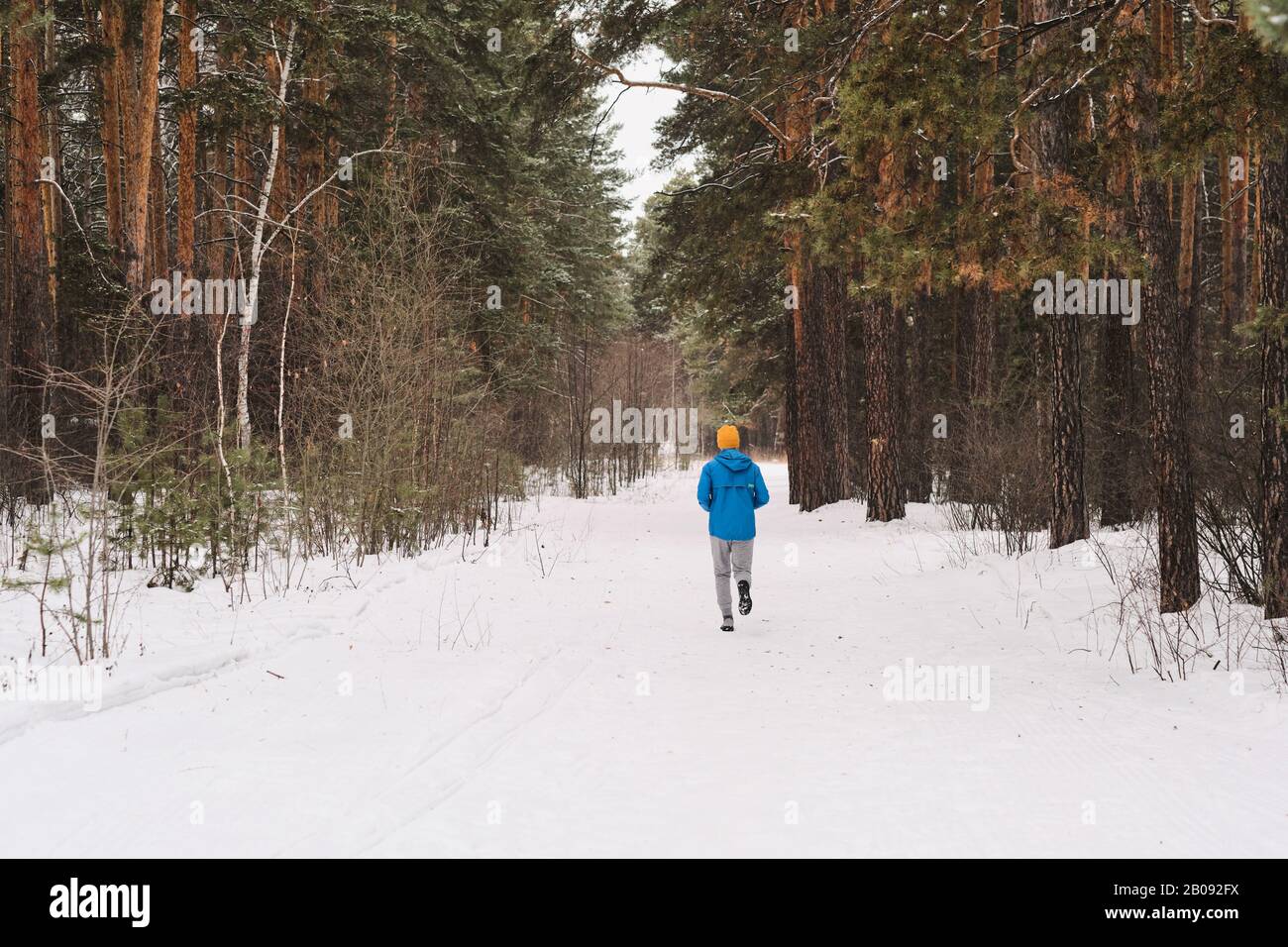Rückansicht des nicht erkennbaren Mannes in blauer Jacke im Winterwald Stockfoto