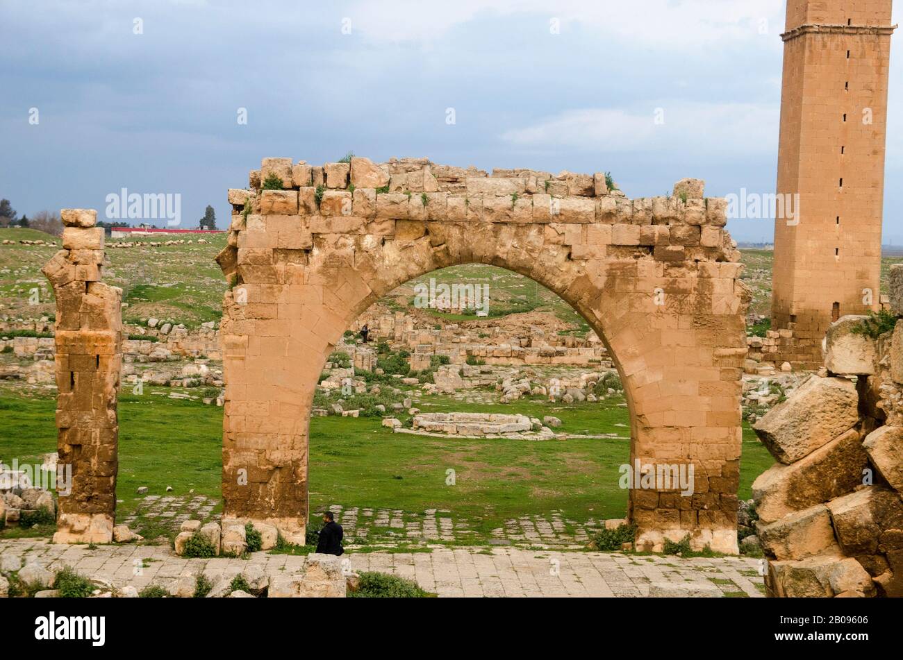 Älteste Universität der Welt, Harran University Stockfoto