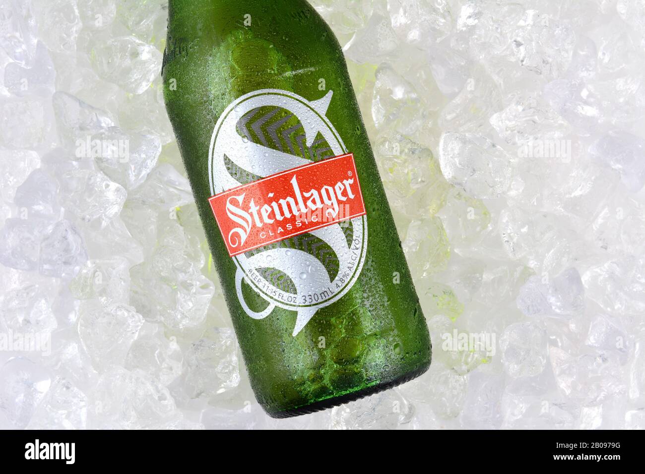 Irvine, CA - 11. JANUAR 2015: Eine Flasche Steinlager Classic auf einem Eisbett. Das Bier im Lagerstil wird seit 1957 in New von Lion Nathan produziert Stockfoto