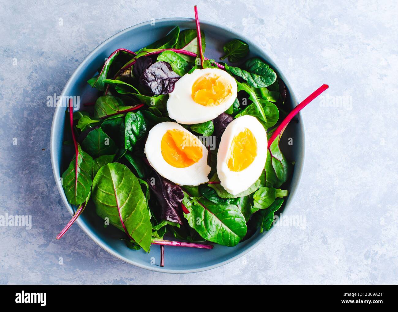 Grüner Salat mit Ei in einer blauen Schüssel auf blauem Grund Stockfoto