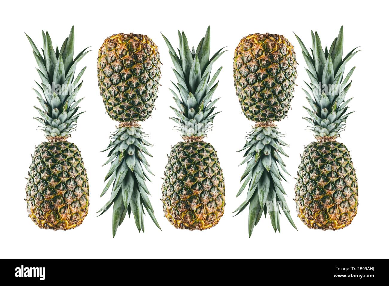 5 reife Ananas aufgereiht in einer Reihe isoliert auf weißem Hintergrund. Kreative Muster Flatlay. Gesunde vegetarische Fettverbrennung Lebensmittel Stockfoto