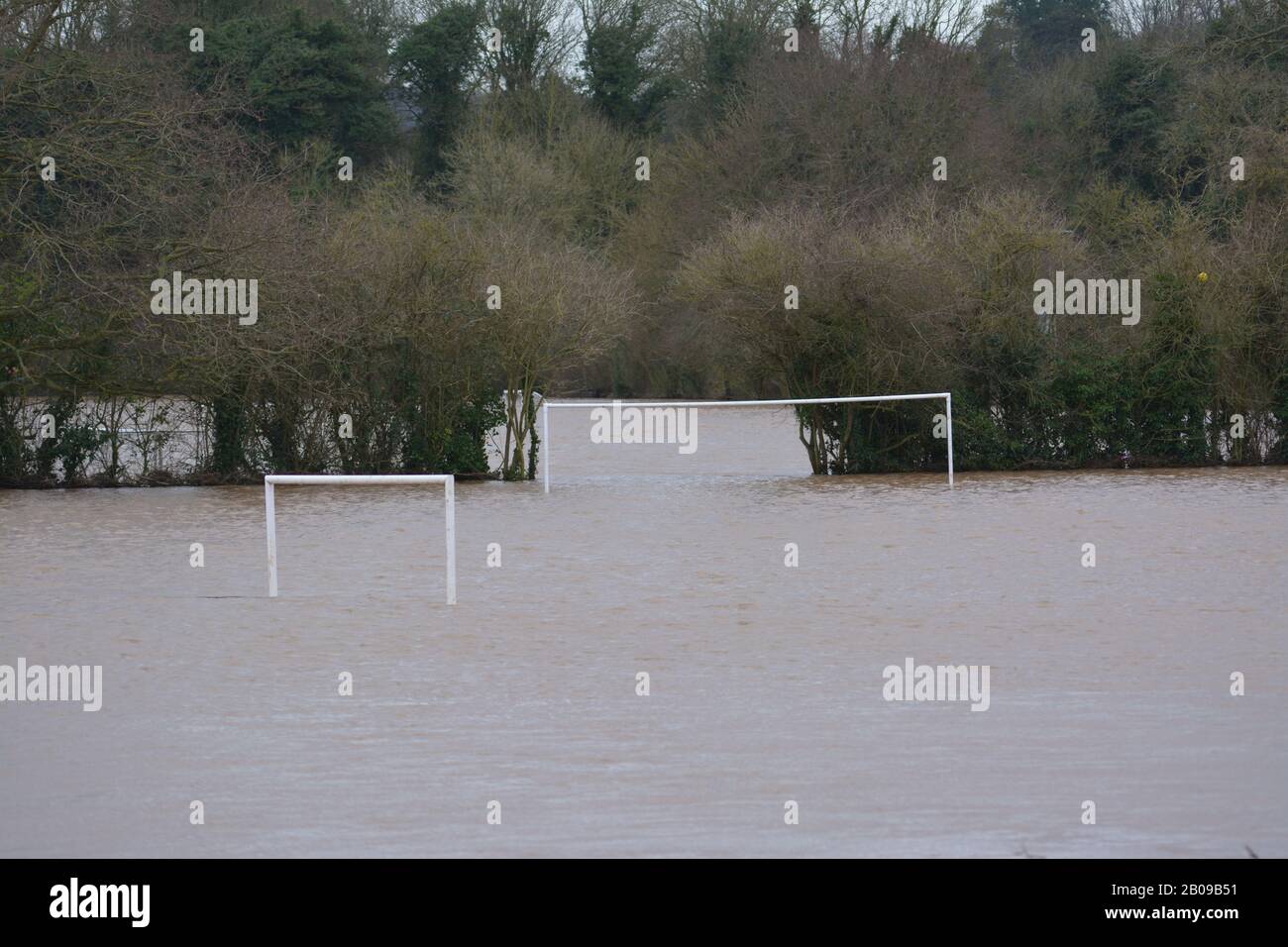 River Wye platzte seine Ufer in Ross-on-Wye Herefordshire UK mit Wasser bedeckt Spielfelder Fußballplatz wieder überschwemmt das Klima der globalen Erwärmung Stockfoto