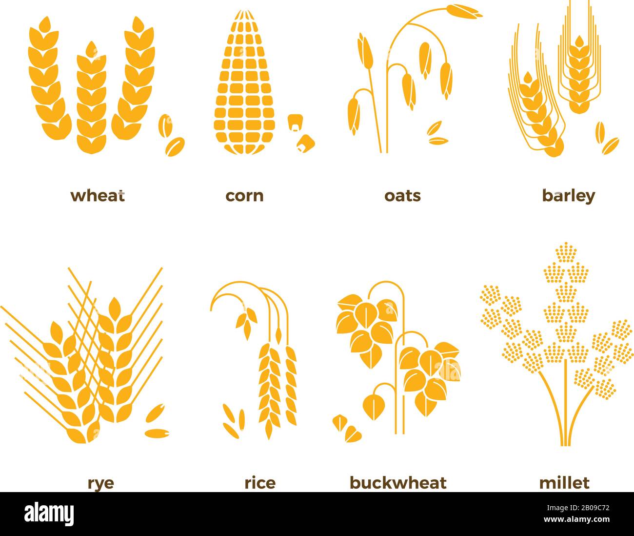 Vektorsymbole für Getreidekörner. Reis und Weizen, Mais und Hafer, Roggen und Gerste. Getreideerntesatz, Abbildung der landwirtschaftlichen Körner Stock Vektor