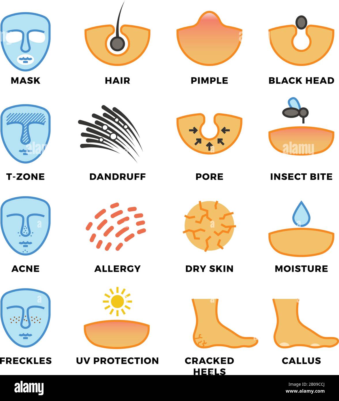 Hauttypen, Hautpflege und kosmetische Vektorsymbole. Gesichtsgesundheit, Schönheit menschliche Illustration Stock Vektor