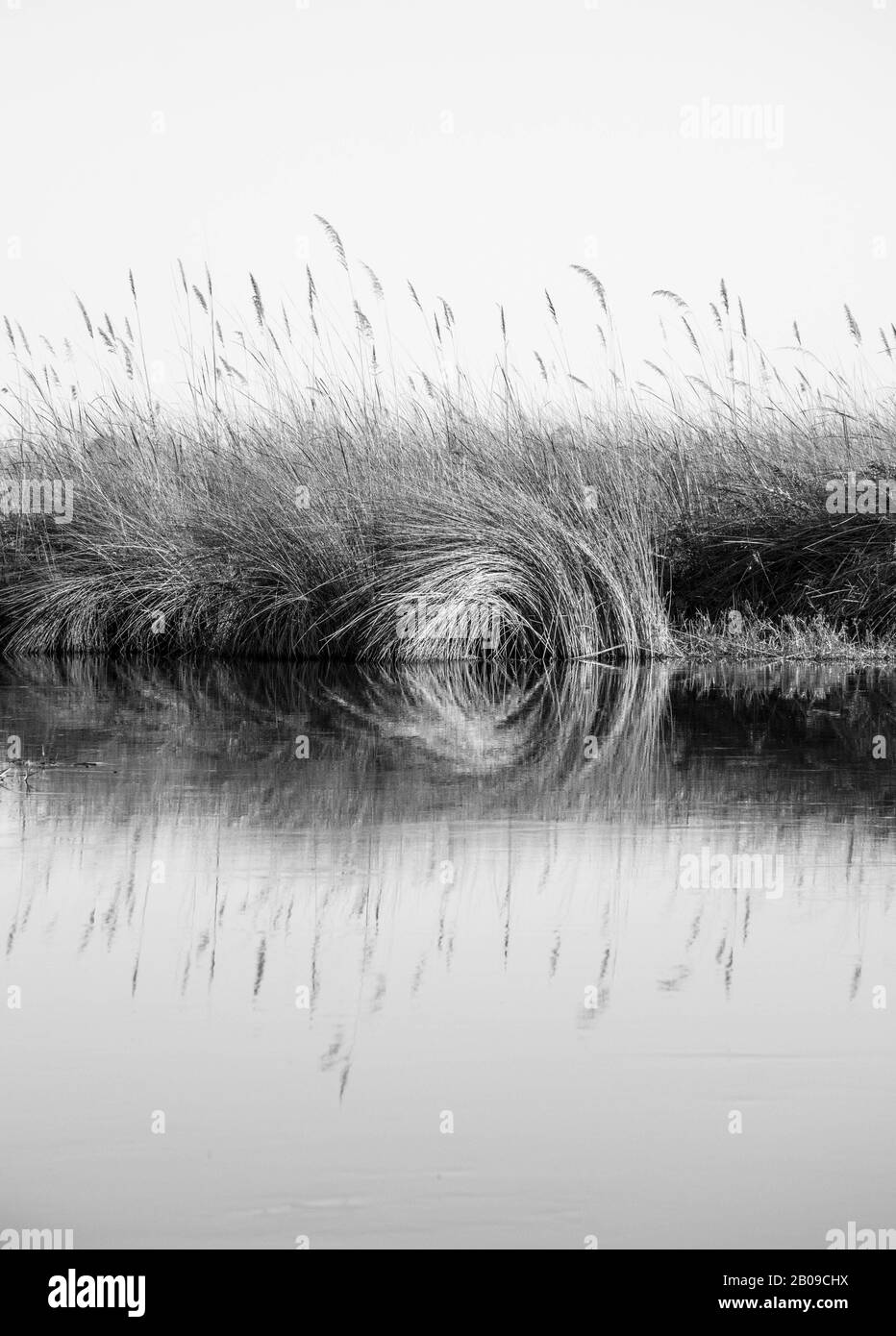 See- und Flusslandschaft. Riffspiegelung in Wasser, Mocnochrome und geometrisches Bild, aufgenommen im Okovango-Flussdelta, botswana Stockfoto