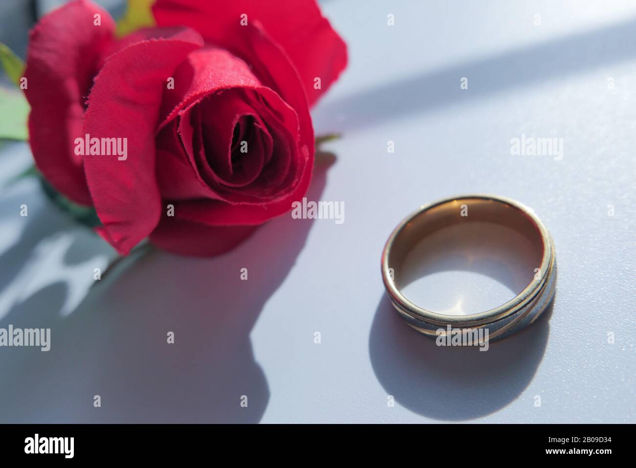 Nahaufnahme von Hochzeitsring und Rosenblüblume auf dem Tisch Stockfoto