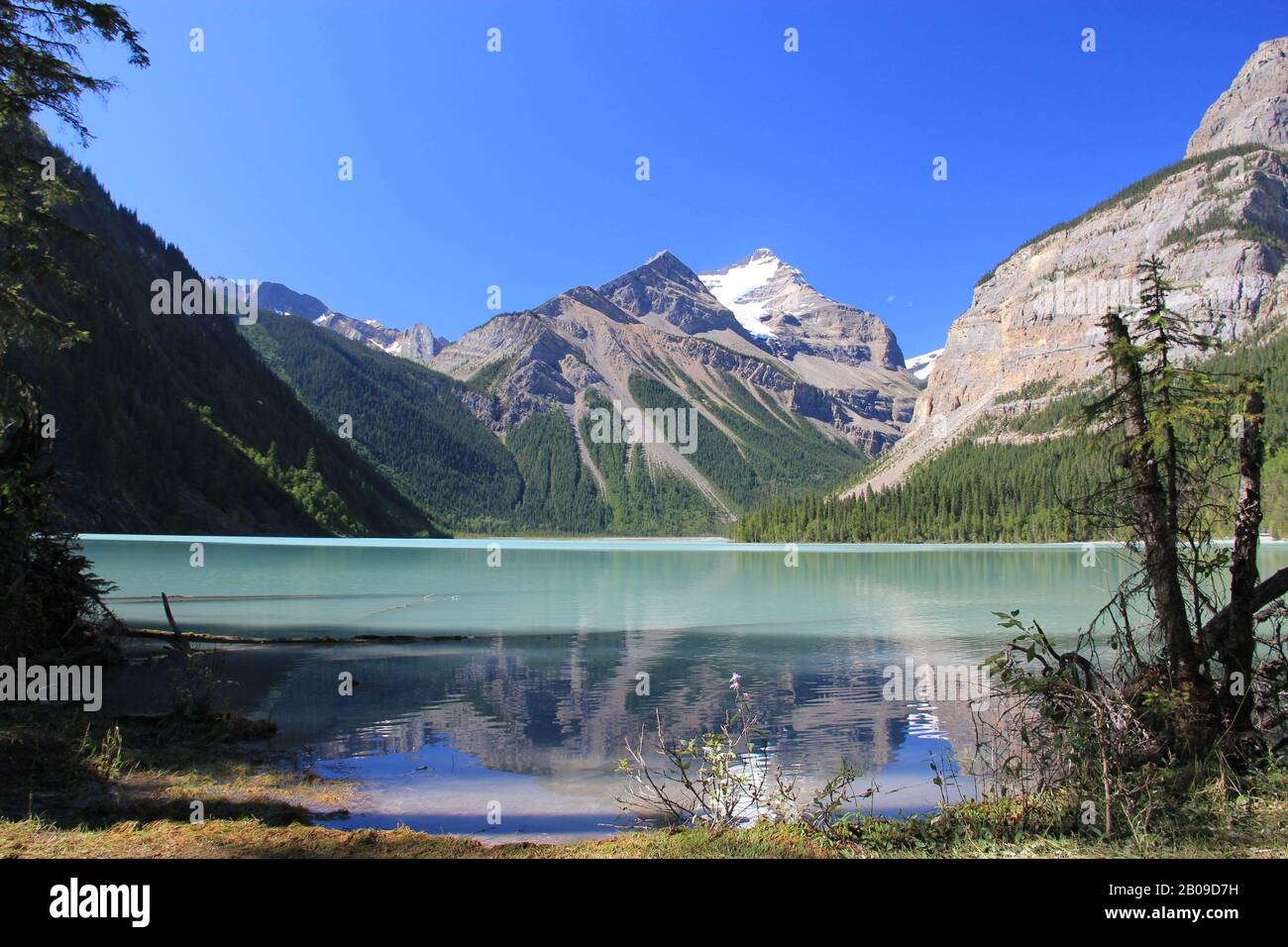 Wunderschönes Spiegelbild des Mount Robson im See. Jasper National Park, Canadian Rockies, Kanada Stockfoto