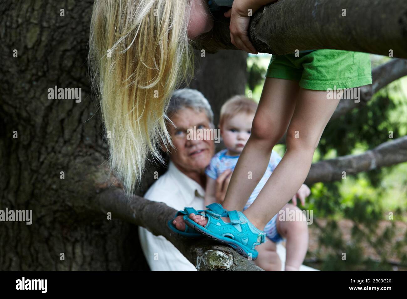 Großvater hält seinen 7 Monate alten Enkel, als seine 3 Jahre alte Enkelin einen Baum klettert Stockfoto