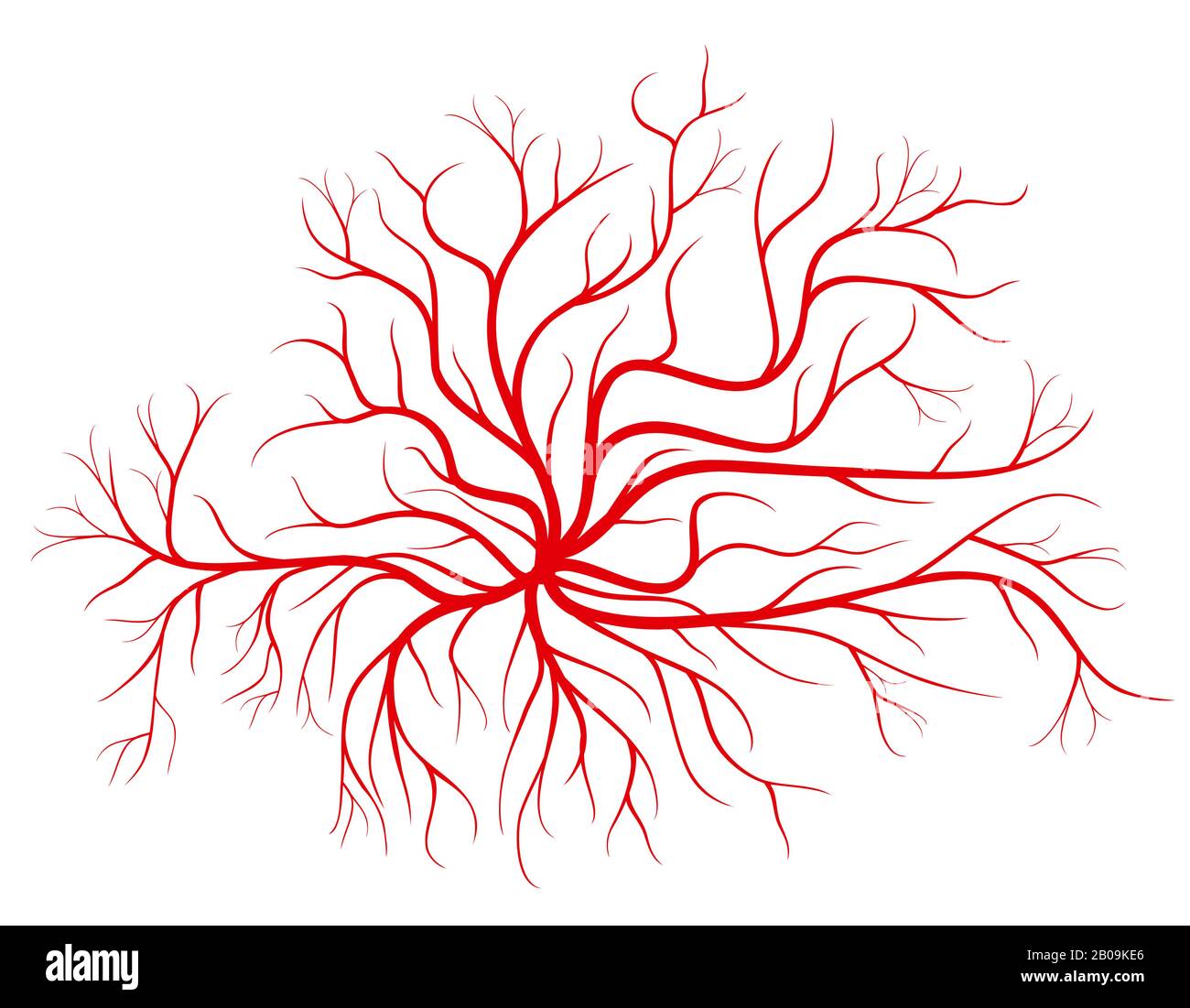 Venen des menschlichen Blutes, Vektorgrafiken der roten Gefäße. Blutgefäß und kardiovaskuläres rotes Silhouettengefäß Stock Vektor
