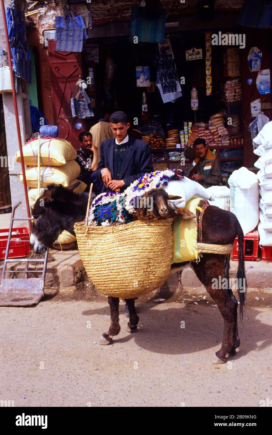 MAROKKO, IN DER NÄHE VON MARRAKESCH, ATLAS-GEBIRGE, OURIKA-TAL, MARKT, ESEL UND SCHAFE Stockfoto