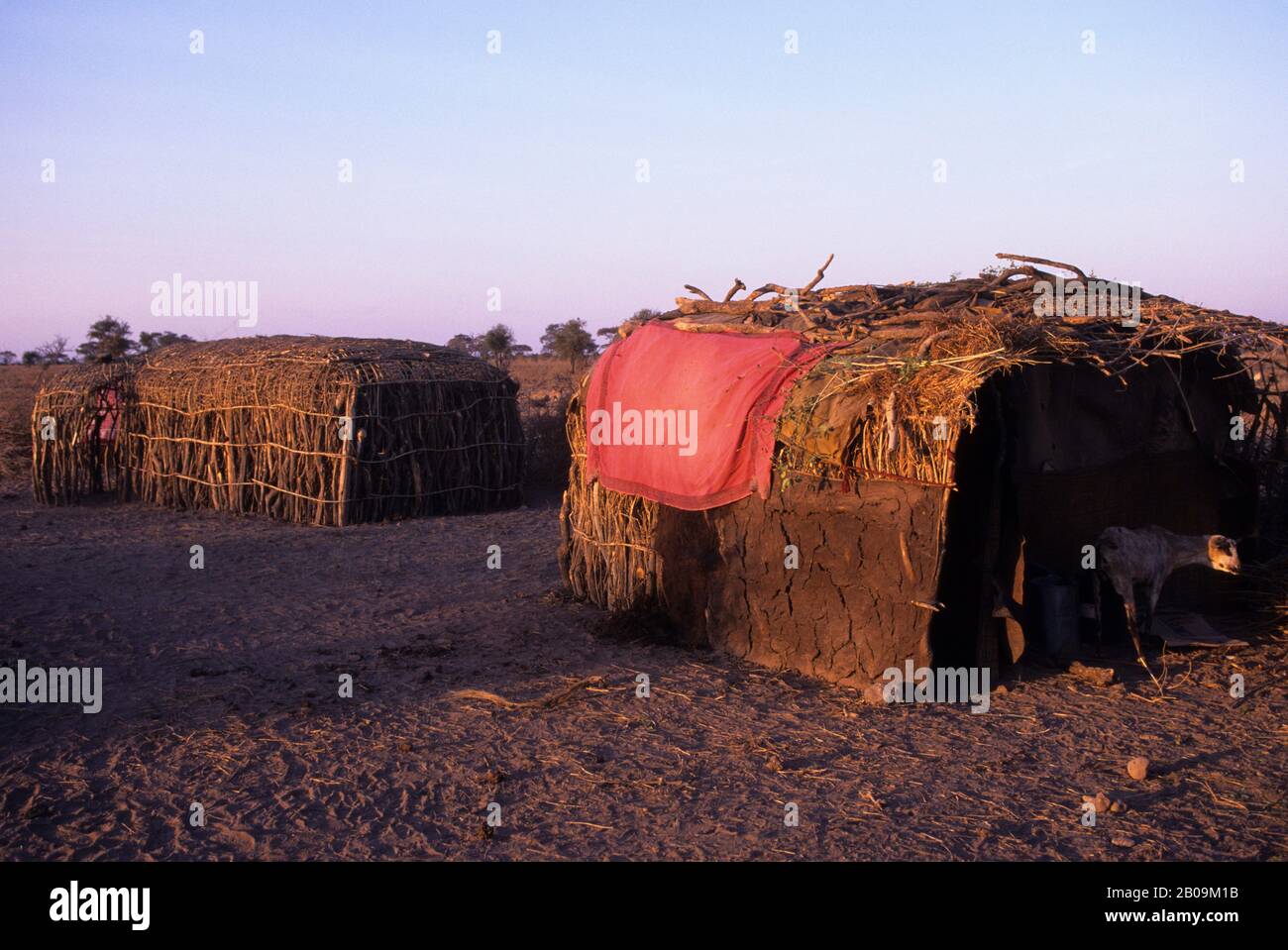 KENIA, AMBOSELI, MASAI-DORF, TRADITIONELLE HÜTTEN Stockfoto