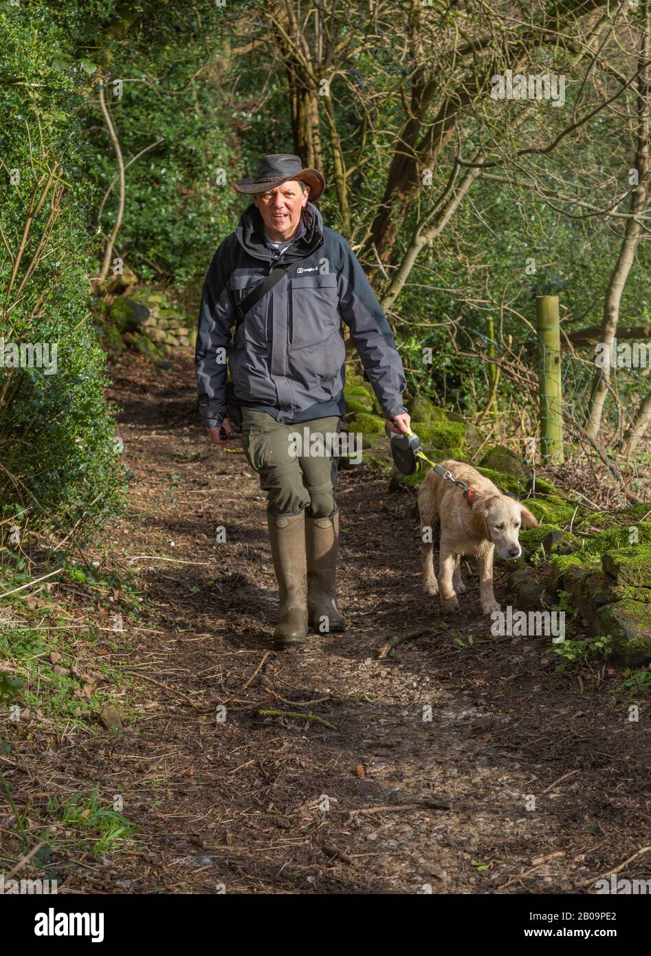 Ein Mann, der seinen jungen goldenen Retriever für einen Spaziergang in Baildon, Yorkshire, nimmt. Stockfoto