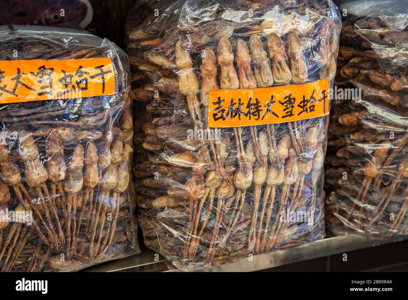 Plastiktüten voller getrockneter Frösche, die in einem Medizingeschäft in Guangzhou, China, verkauft werden können. Die Frösche werden für die Verwendung als Aphrodisiacs in chinesischen Medecine getrocknet. Stockfoto