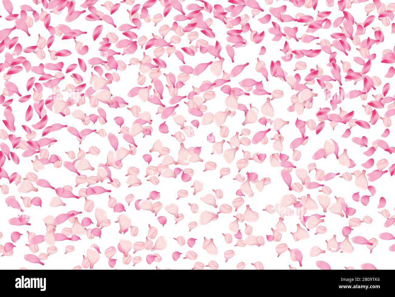 Federvektor Hintergrund mit fallenden rosafarbenen Blütenblättern der Sakura-Blüte. Frühlingskirschblütenblume, Illustration des Blumendekors der Natur Stock Vektor