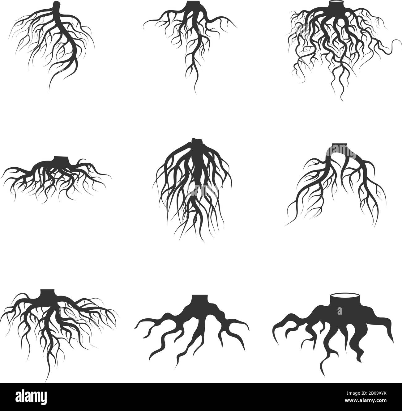 Baum und Pflanzen unterirdische Wurzeln Vektor-Satz. Baumwurzel schwarz. Abbildung der Silhouettenwurzel der Pflanzen Stock Vektor