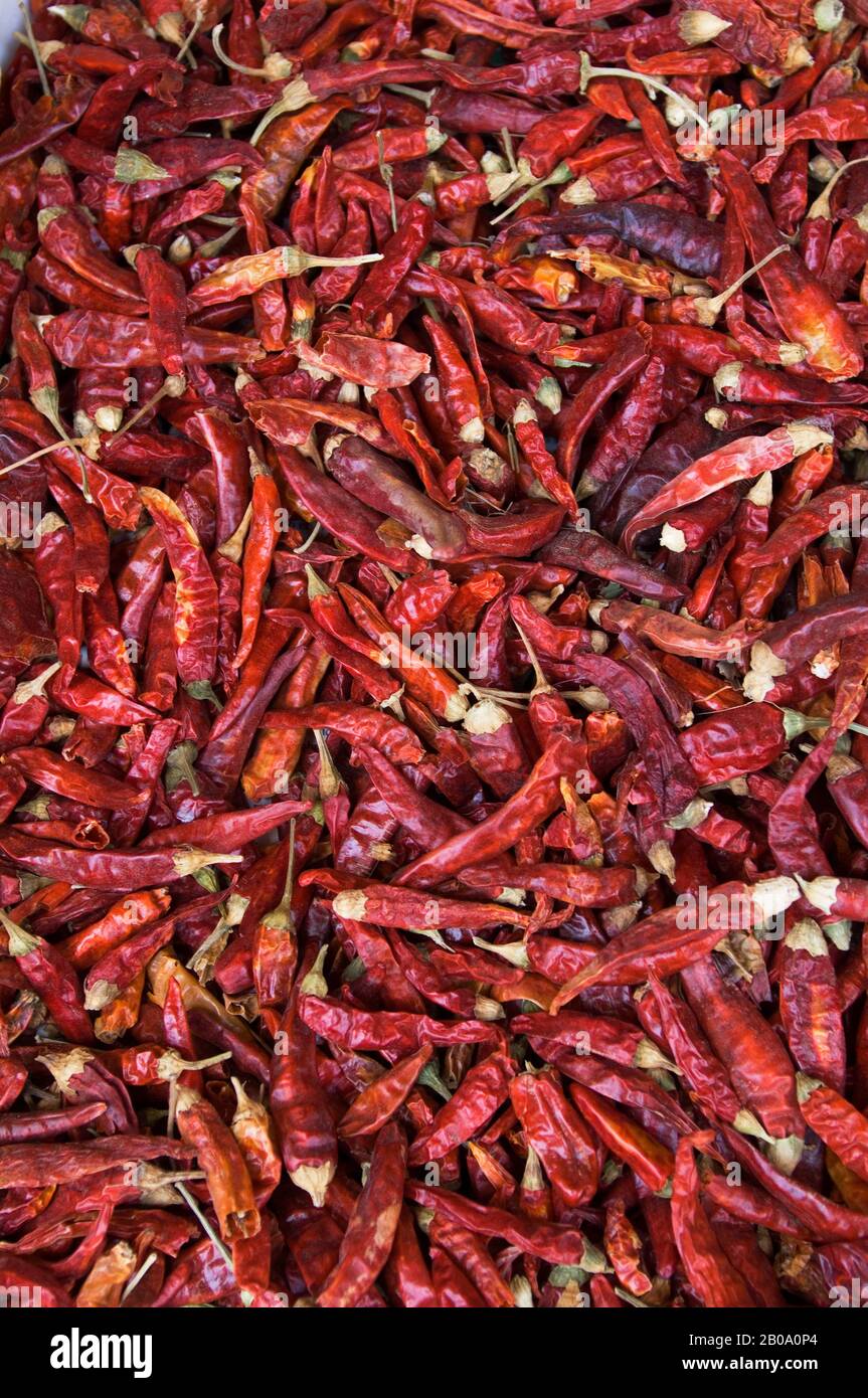MAROKKO, CASABLANCA, EUROPAVIERTEL, ZENTRALMARKT, PRODUZIERT STÄNDER, GETROCKNETE CHILISCHOTEN Stockfoto