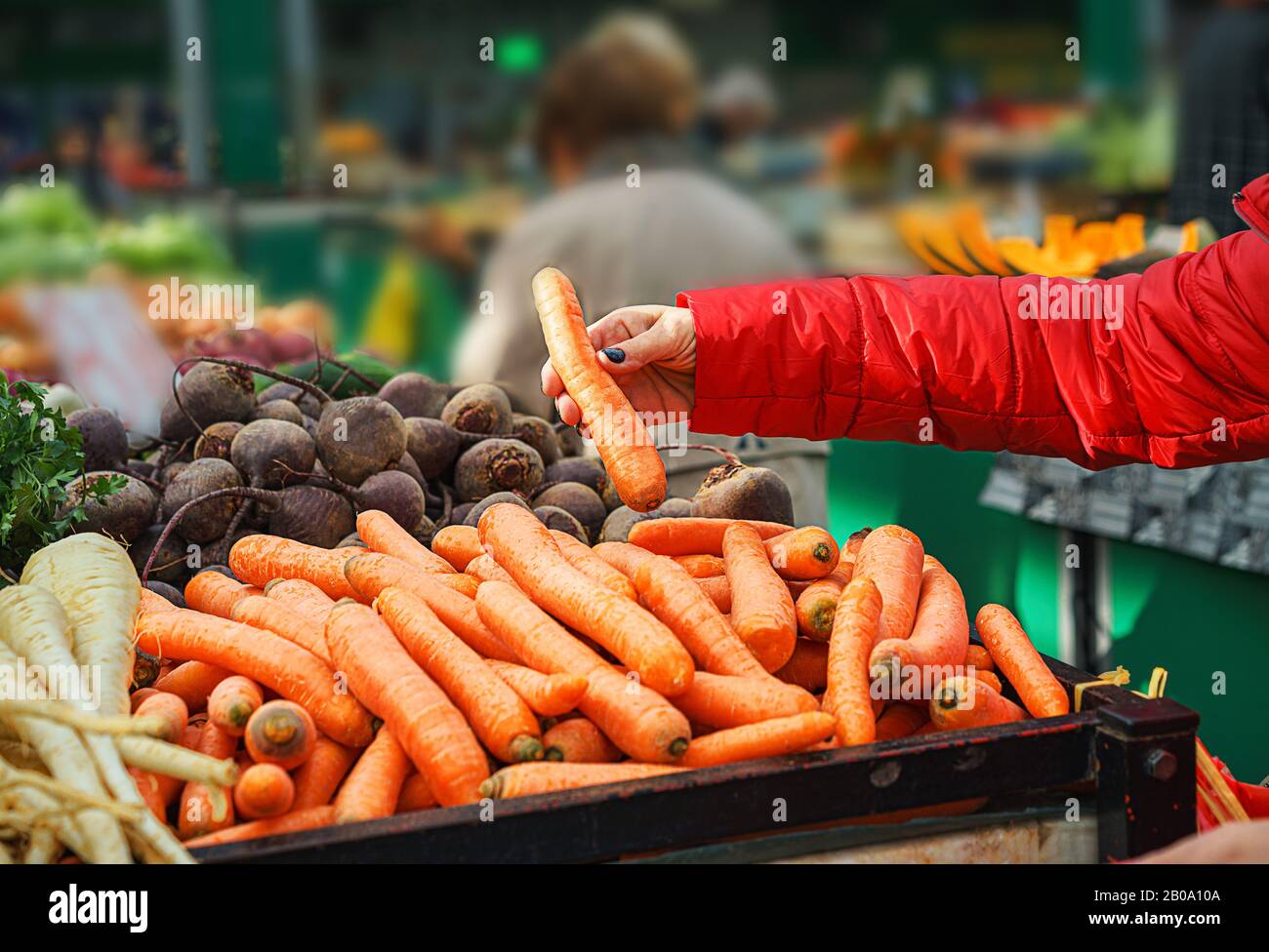 Verkauf von frischem und biologischem Obst und Gemüse auf dem grünen Markt oder auf dem Bauernmarkt. Die Käufer der Bürger wählen und kaufen Produkte für gesunde Lebensmittel, die Frauen wählen die beste Karotte. Lebensstil. Stockfoto