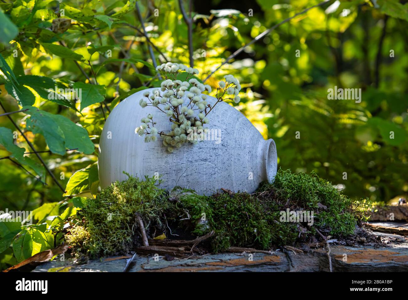 Ein Nahschuss eines Feenhauses im Wald. Miniatur-skurrile Szene mit Steinurne und natürlichem Pflanzendekor, weichem Fokus grünes Laub im Hintergrund Stockfoto