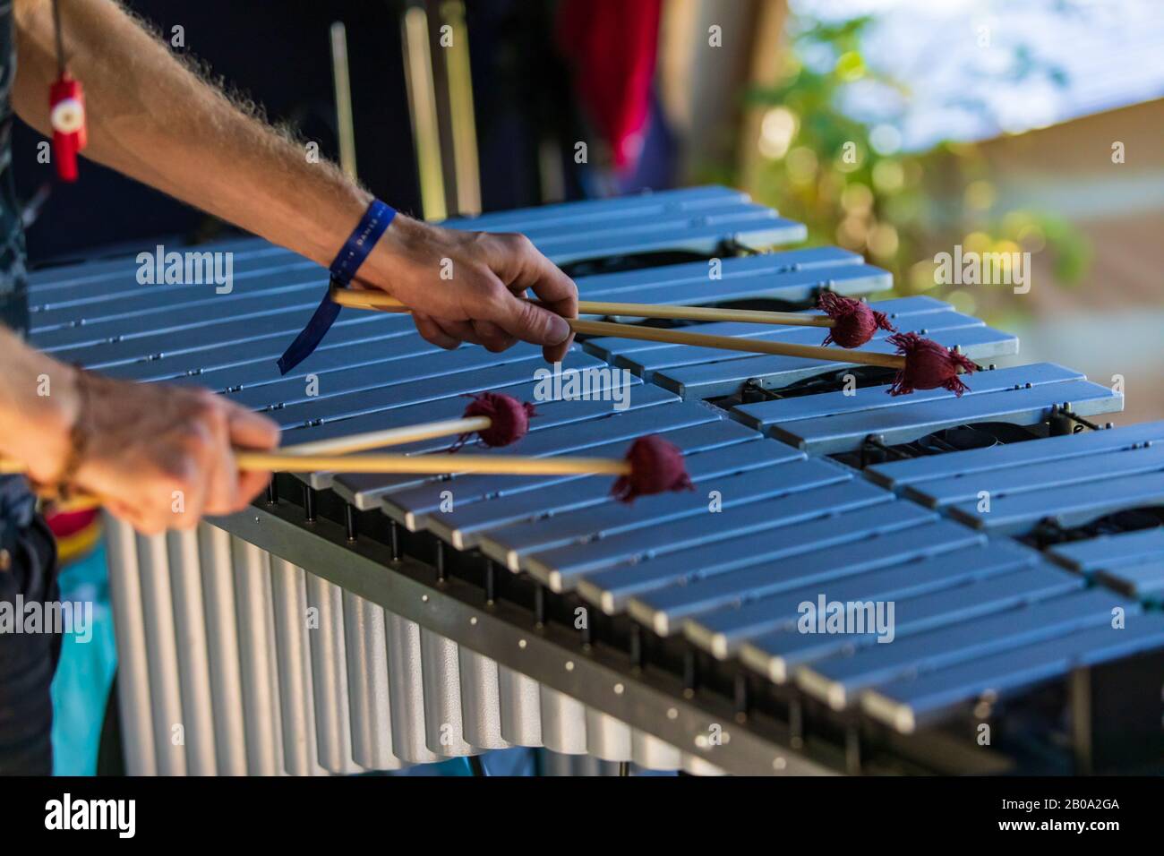Ein Nahaufnahmen mit weichem Fokus auf die Hände eines Mannes, bei dem vier Mallets ein Vibraphoninstrument ähnlich einem Glockenspiel spielen, kopiere den Raum nach rechts Stockfoto