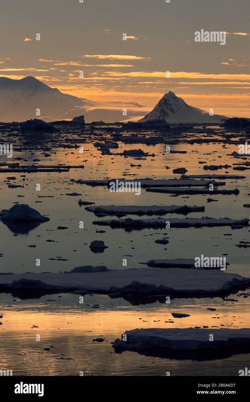 ANTARKTISCHES GEBIET DER HALBINSEL, BERGE UND PACKEIS, IM ABENDLICHT Stockfoto