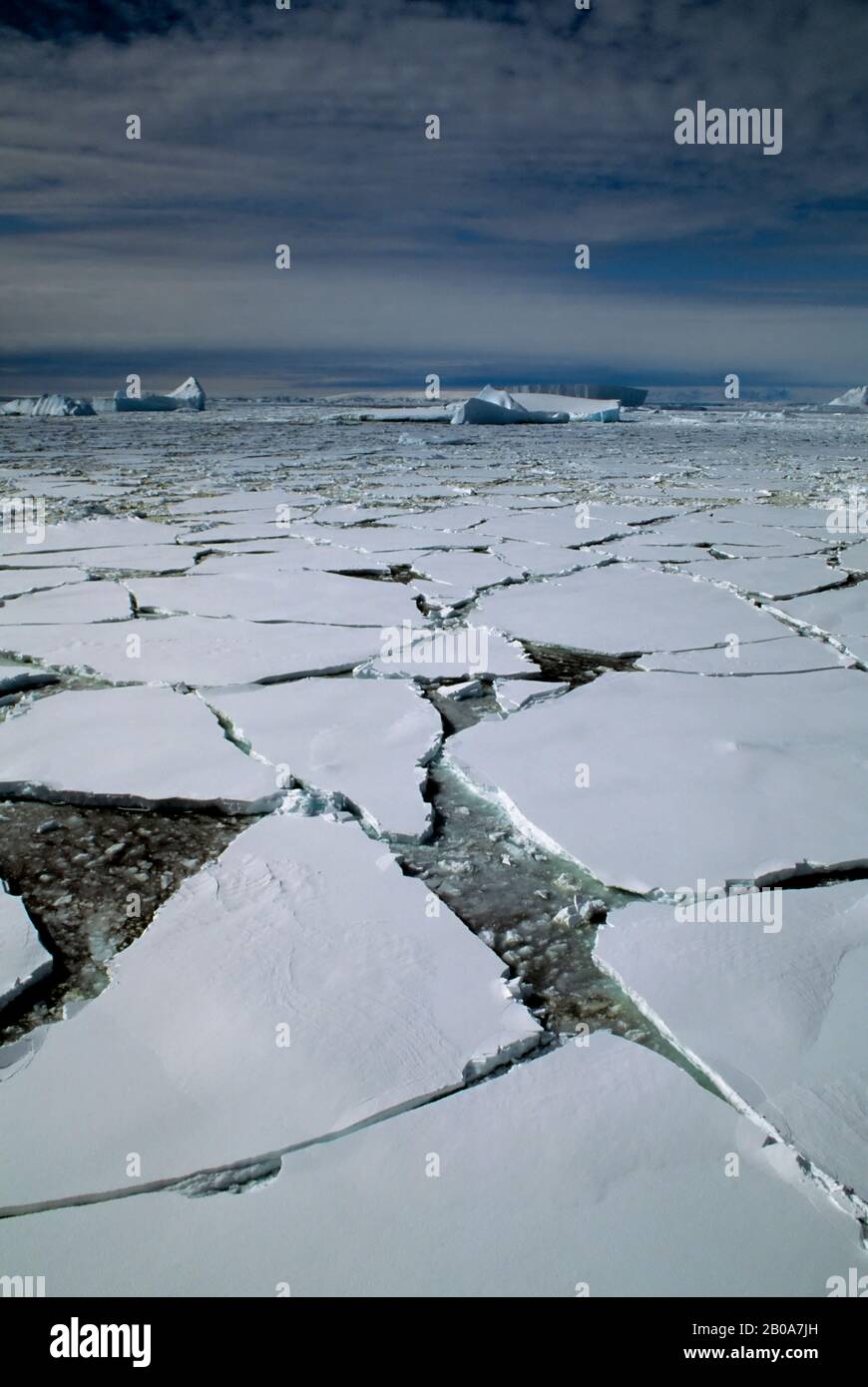 ANTARKTISCHE HALBINSEL, IN DER NÄHE DER ADELAIDE-INSEL, PACKEIS Stockfoto
