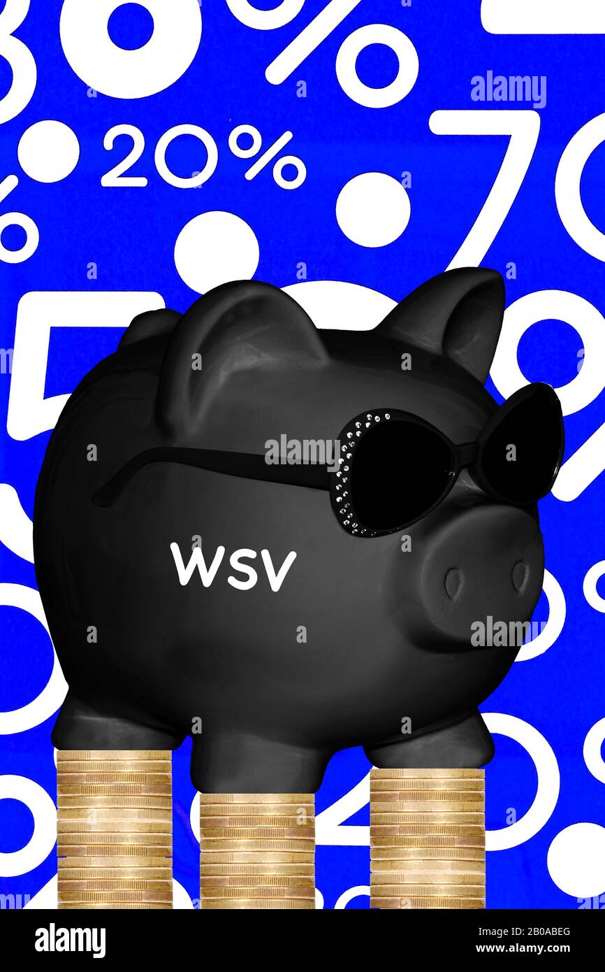 Schwarze Schweinebank mit Sonnenbrille und Schriftzug WSV, Sonderangebote und Münzstapel im Hintergrund, Komposition Stockfoto