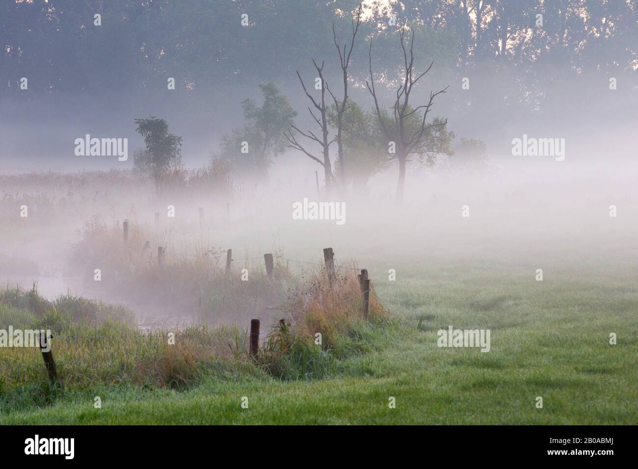 Nebel im Tal der Zeverenbeek, Belgien, Westflandern, Deinze, Zeverenbeek Stockfoto