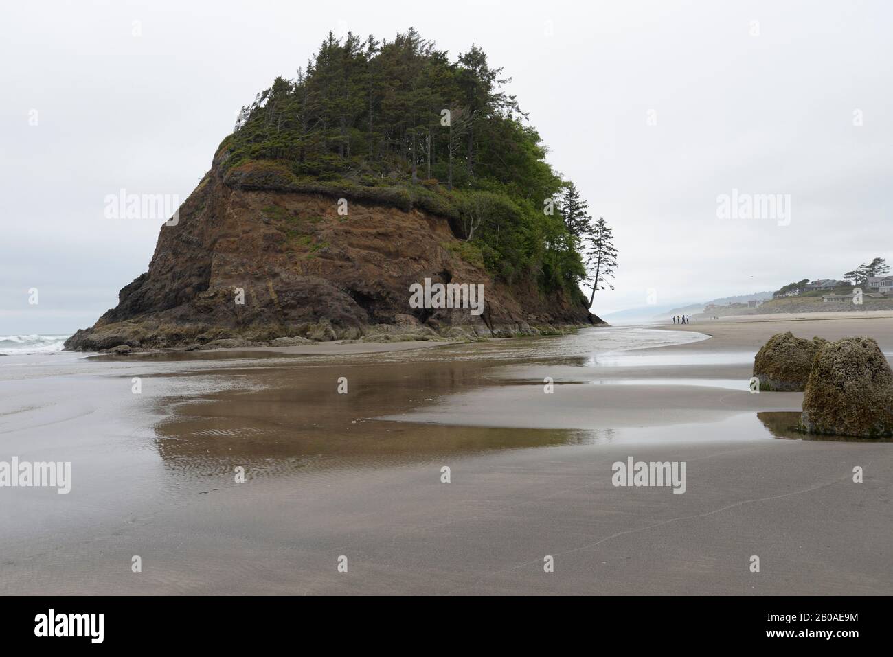 Familienwanderungen Neskowinstrand neben Proposal Rock entlang der Küste von Oregon. Stockfoto