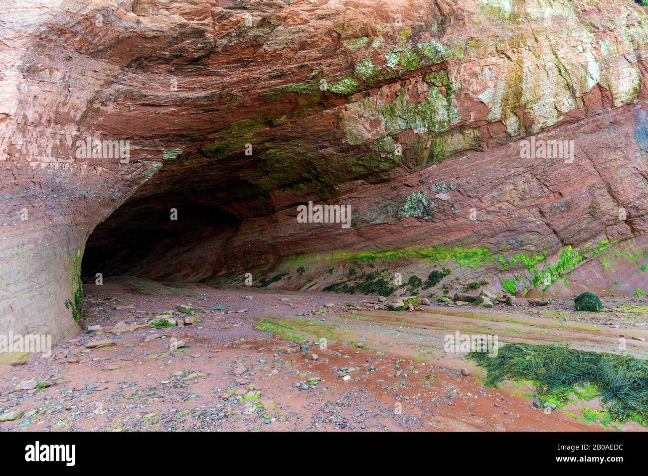 Der Eingang zu einer Meereshöhle bei Ebbe. Die Höhle ist innen dunkel. Algen an Wänden und Decke. Die Höhle befindet sich in sedimentären Felsen. Stockfoto