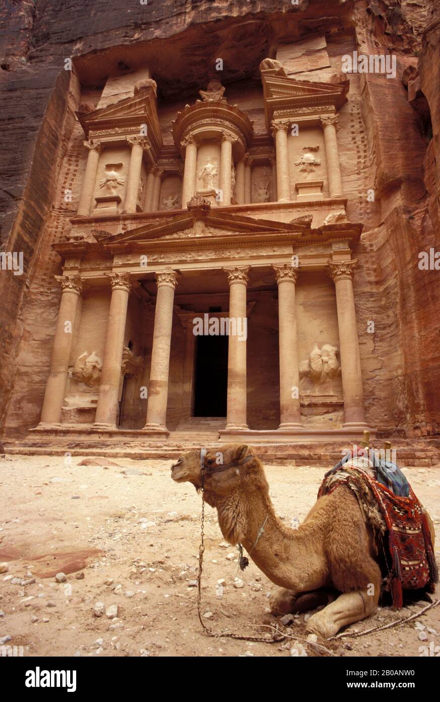 JORDAN, PETRA, SCHATZKAMMER MIT KAMEL Stockfoto