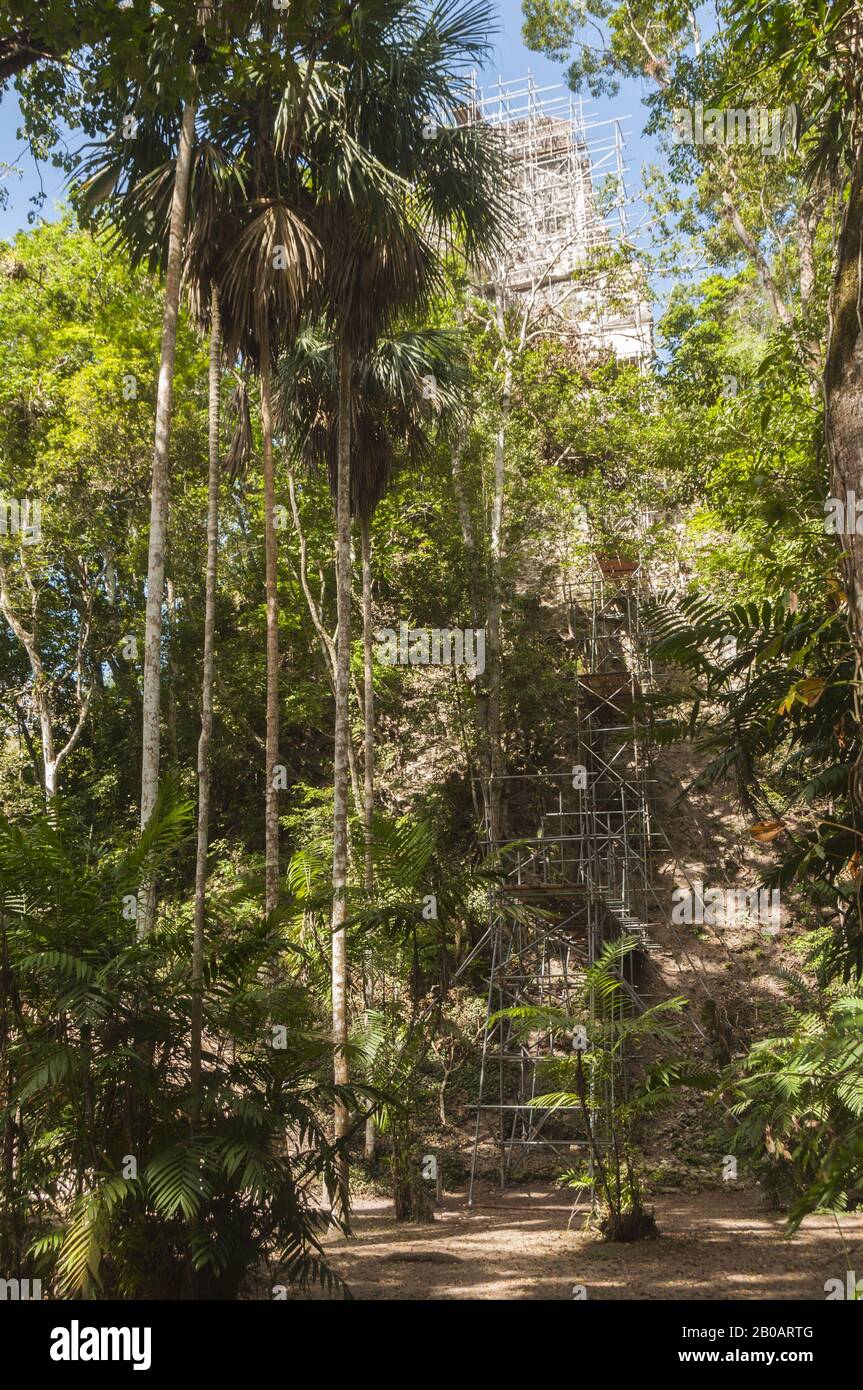 Guatemala, Tikal-Nationalpark, Templo III, Tempel des Jaguar-Priesters, teilweise zurückgebaut und restauriert; UNESCO-Weltkulturerbe Stockfoto