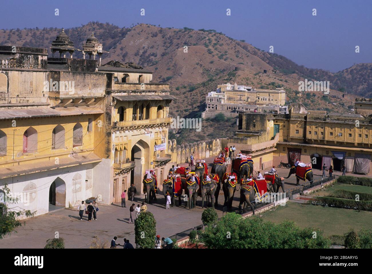 INDIEN, RAJASTHAN, JAIPUR, AMBER FORT, ELEFANTEN Stockfoto
