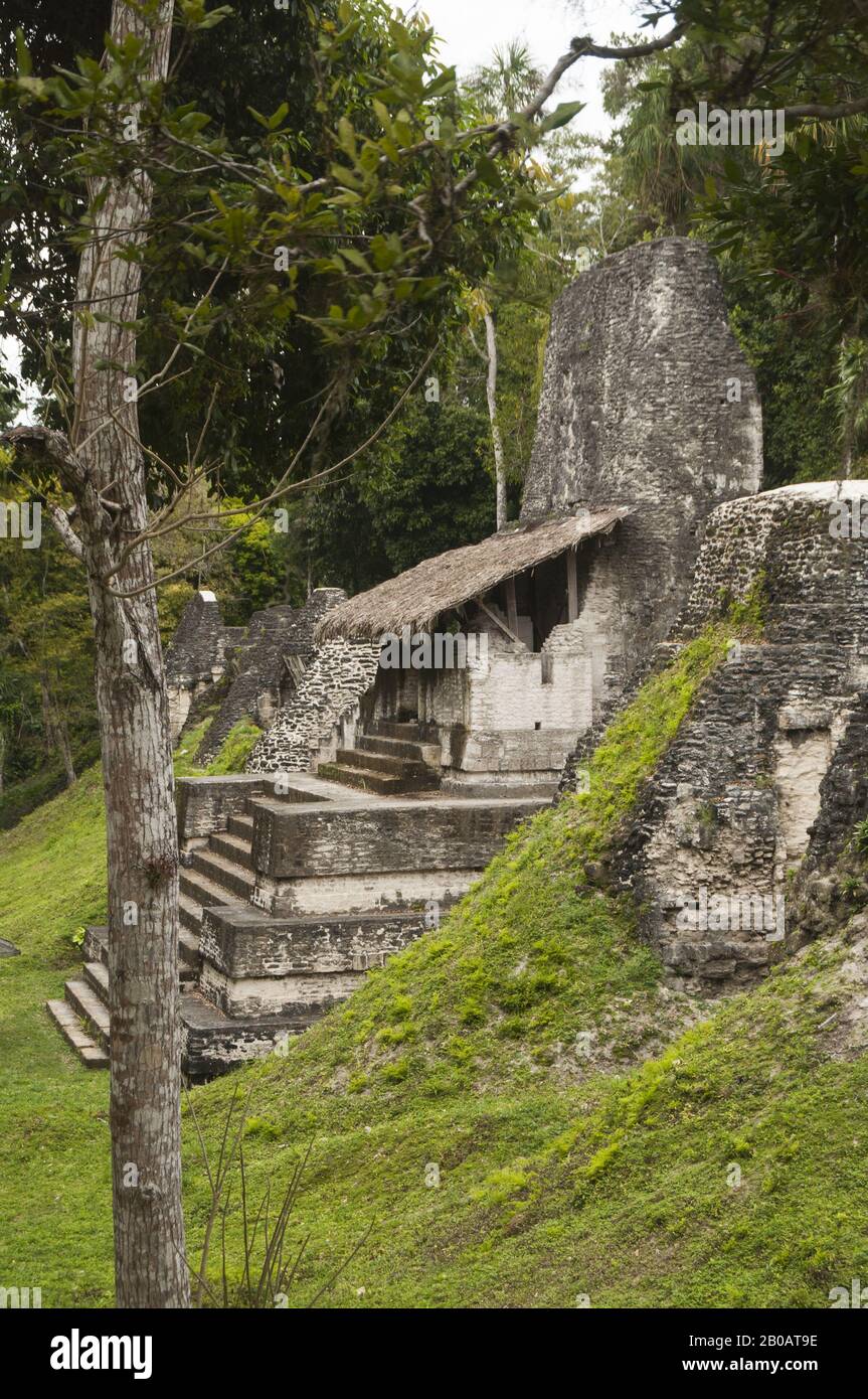 Guatemala, Tikal National Park, Plaza of the Seven Temples, Late Classic Period, 600-900 AD, Struktur 5D-96; UNESCO-Weltkulturerbe Stockfoto