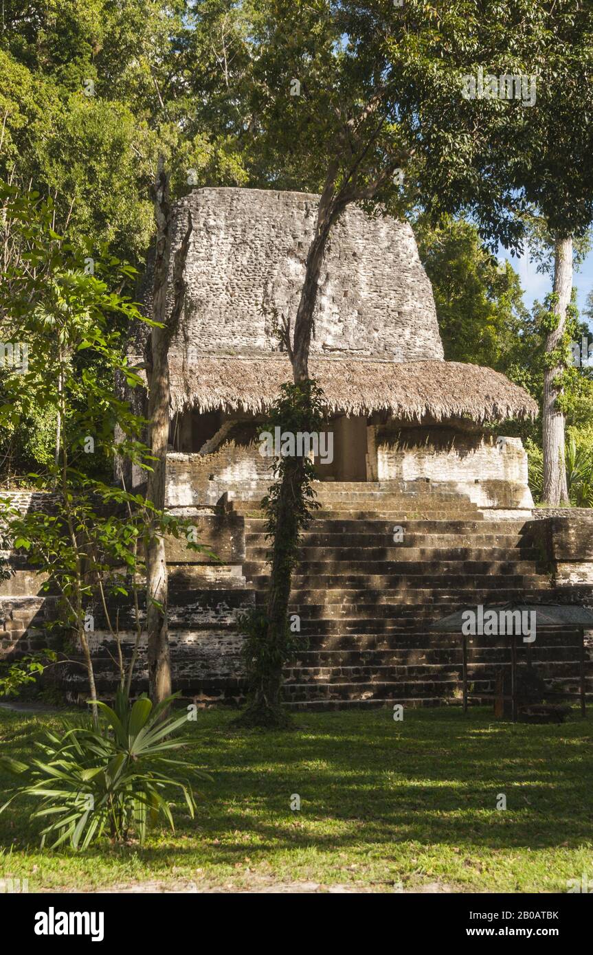 Guatemala, Tikal National Park, Plaza of the Seven Temples, Late Classic Period, 600-900 AD, Struktur 5D-96; UNESCO-Weltkulturerbe Stockfoto