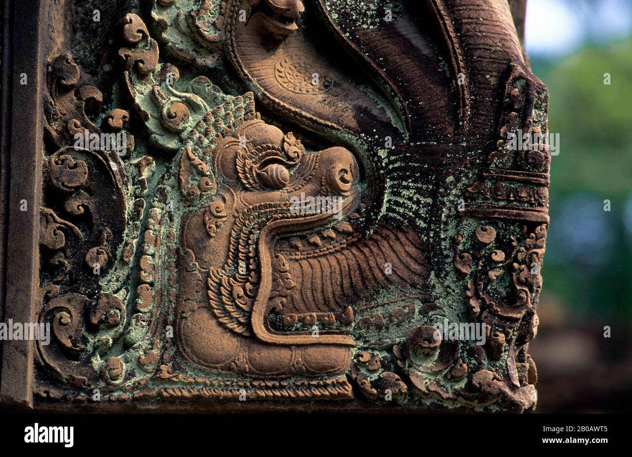 KAMBODSCHA, SIEM REAP, BANTEAY SREY TEMPEL, DETAIL DES TEMPELS, SANDSTEINSCHNITZEREI, DETAIL Stockfoto