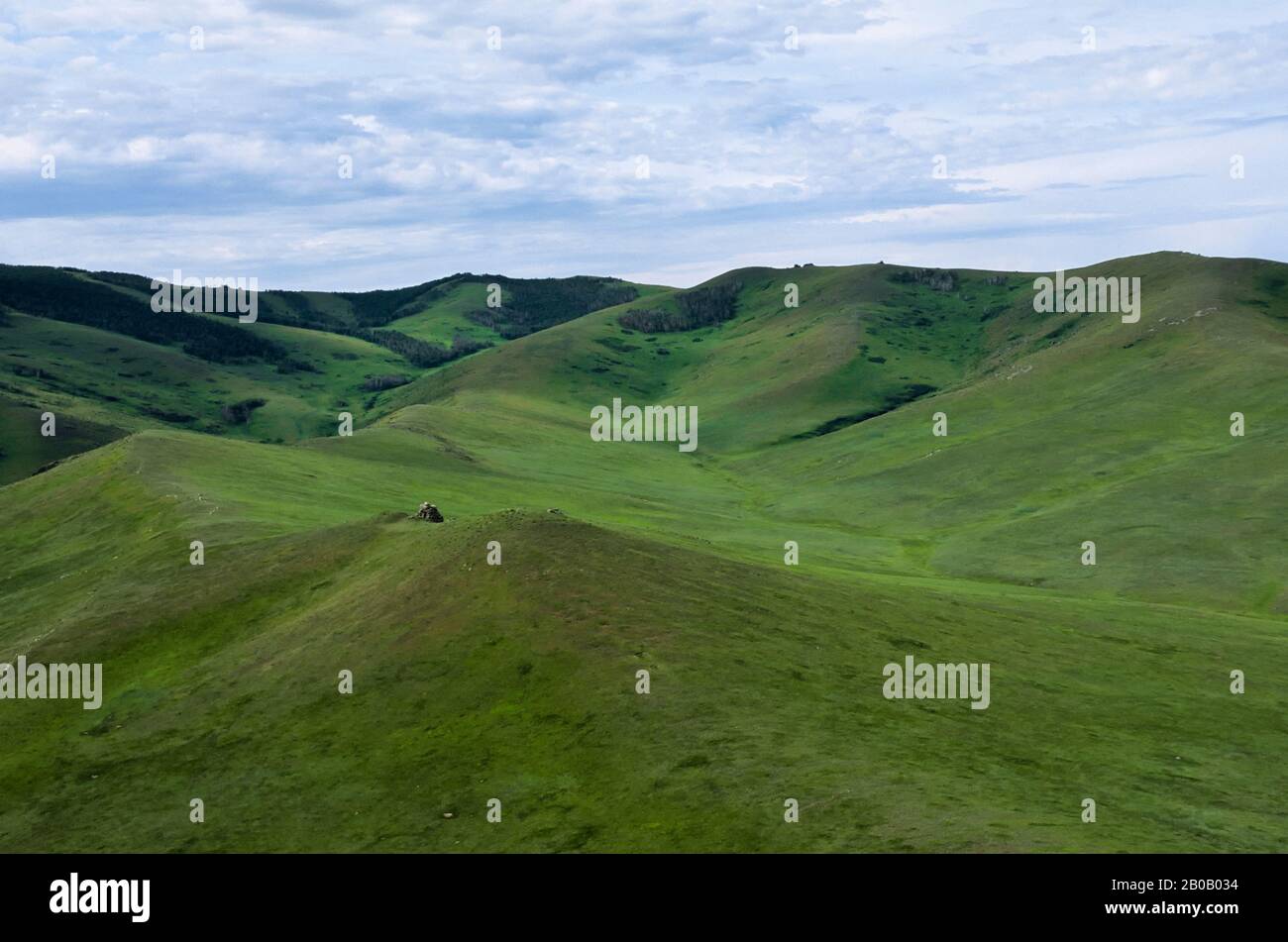 ZENTRALMONGOLEI, NATIONALPARK HUSTAI, GRÜNLAND, LUFTBILD Stockfoto