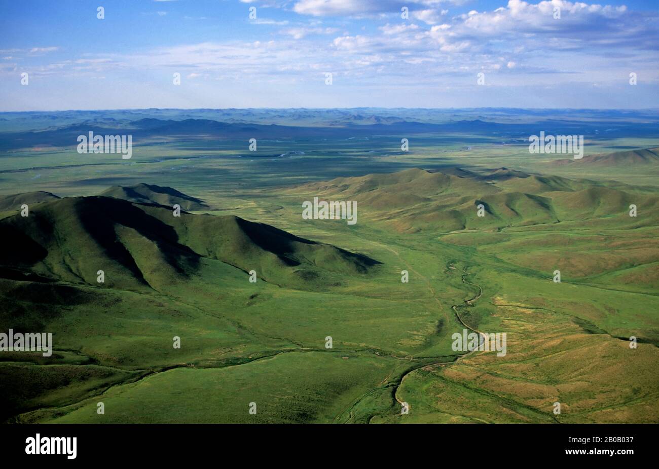 ZENTRALE MONGOLIA, IN DER NÄHE DES NATIONALPARKS HUSTAI, MIT BLICK AUF DAS GRASLAND Stockfoto