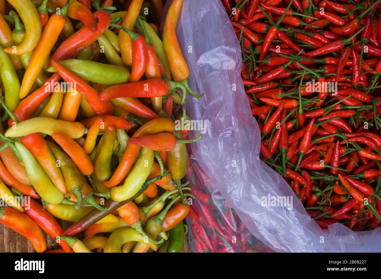 SÜDVIETNAMESEN, SAIGON (HO CHI MINH CITY), BINH TAY MARKET, MARKTSZENE, CHILIPERN Stockfoto