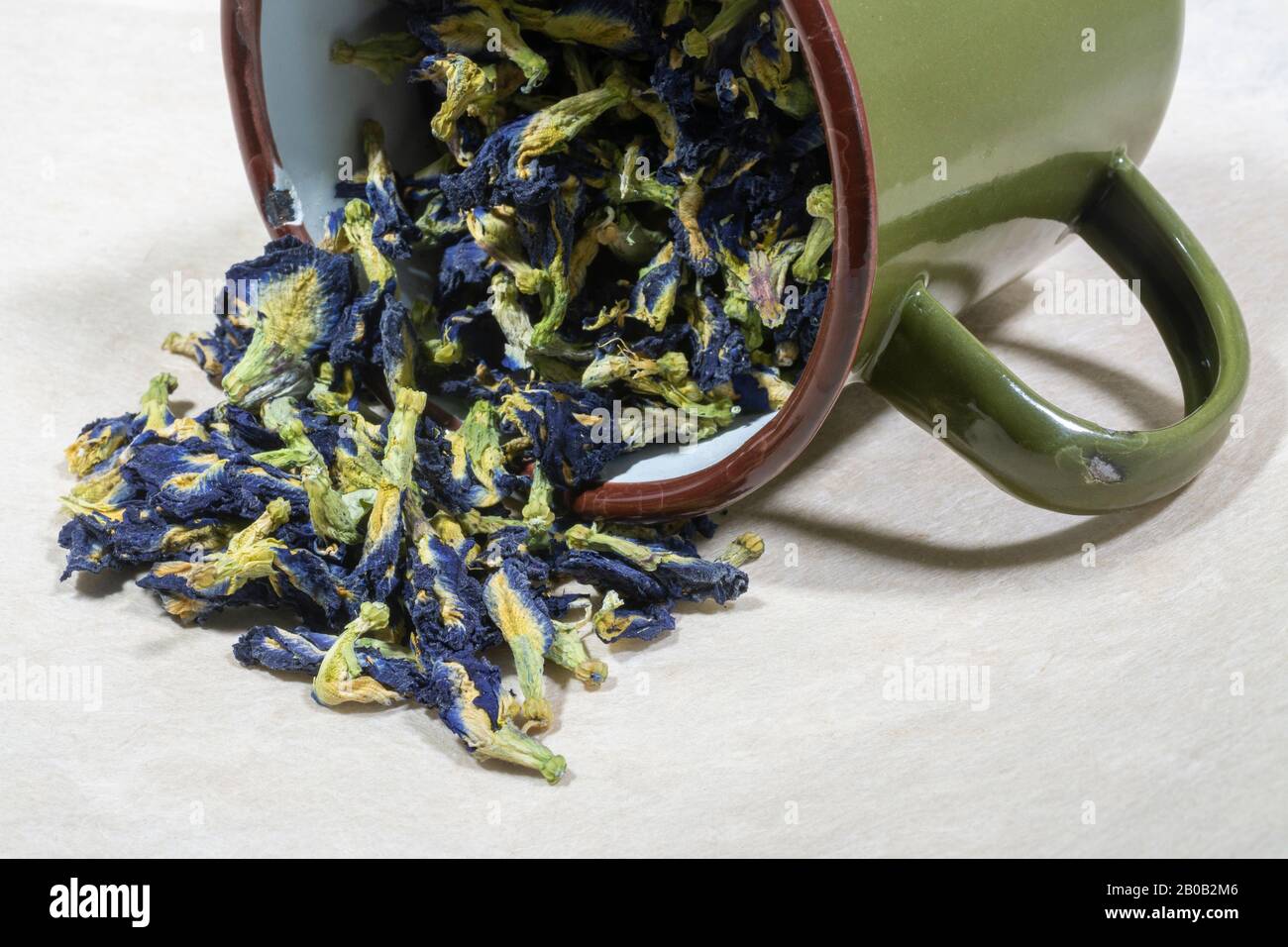 Blaue Blüten von Bio getrockneten Schmetterling Erbse Tee (Clitoria ternatea) in einem Emaille-Becher Stockfoto